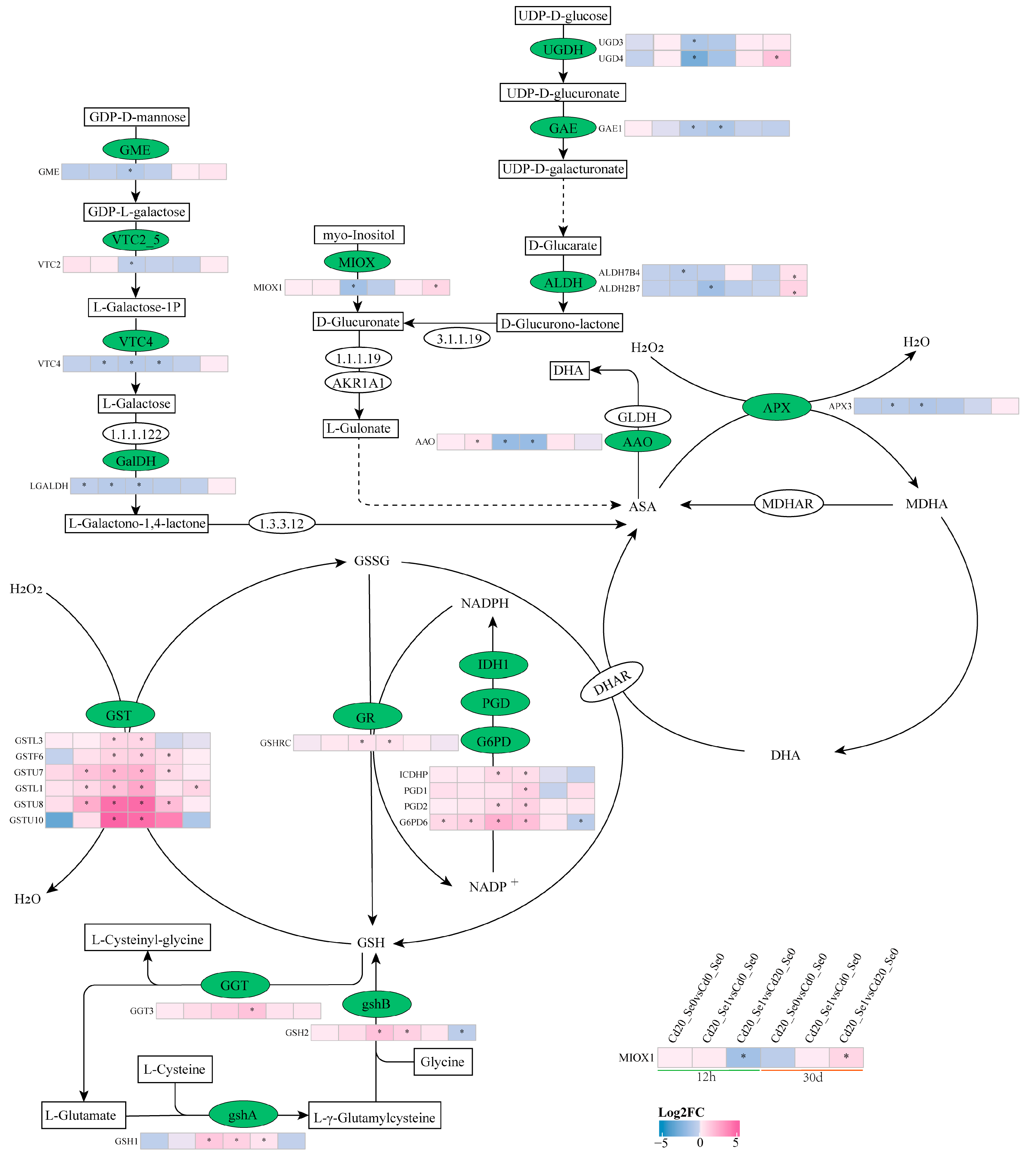 Plants 14 01736 g012
