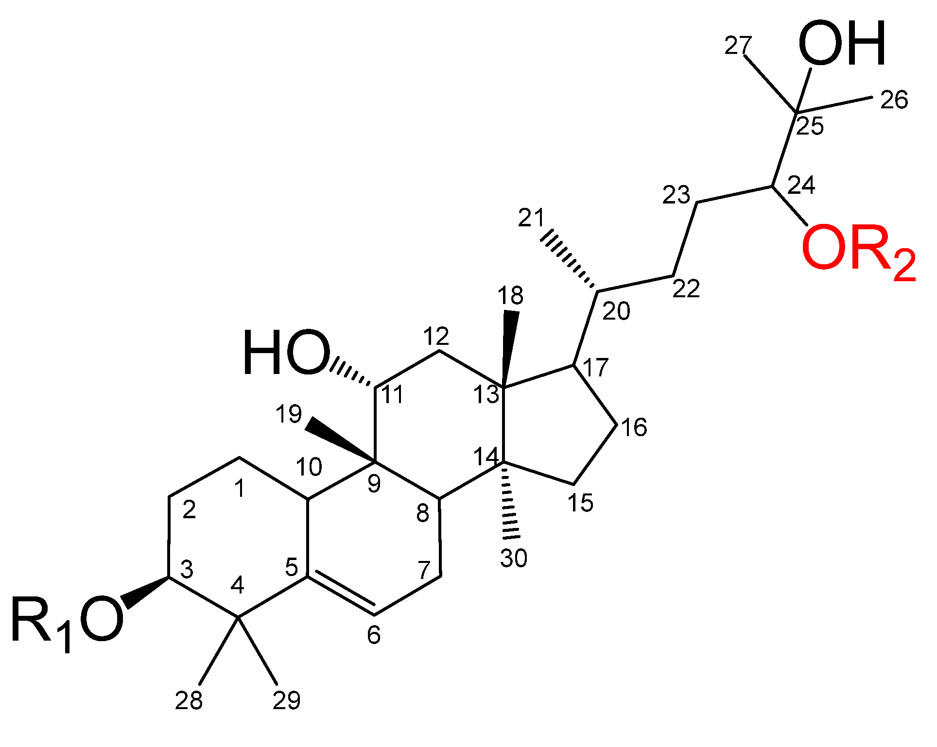 Plants 14 01740 g001