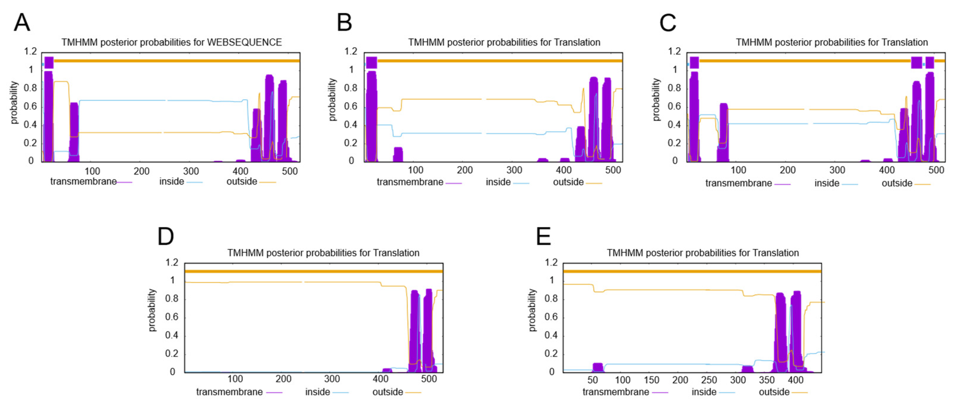 Plants 14 01740 g002