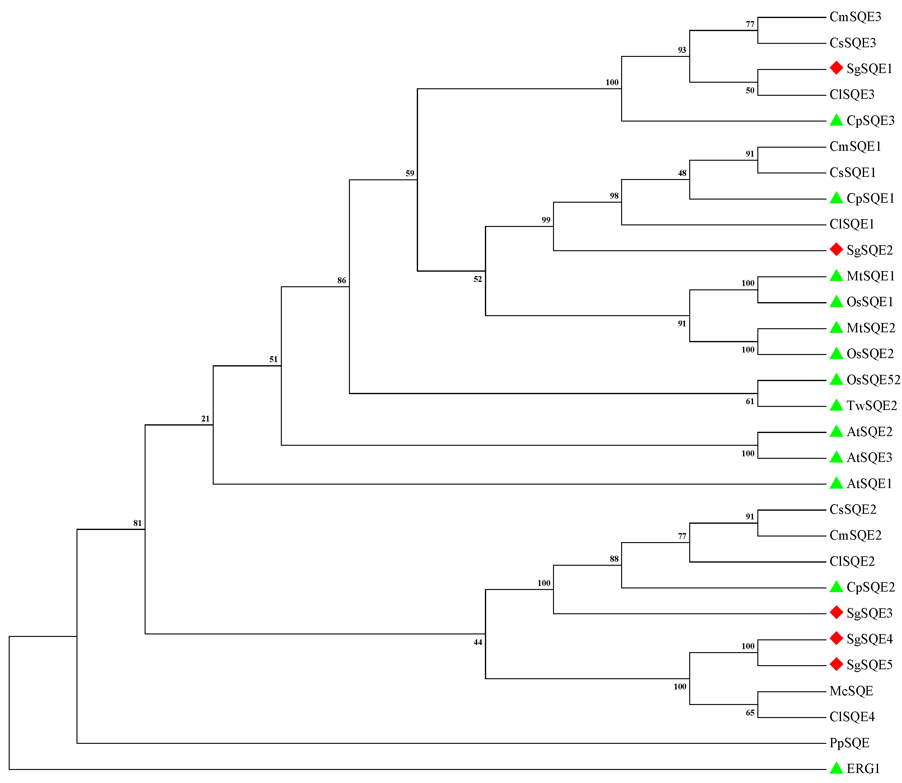 Plants 14 01740 g003