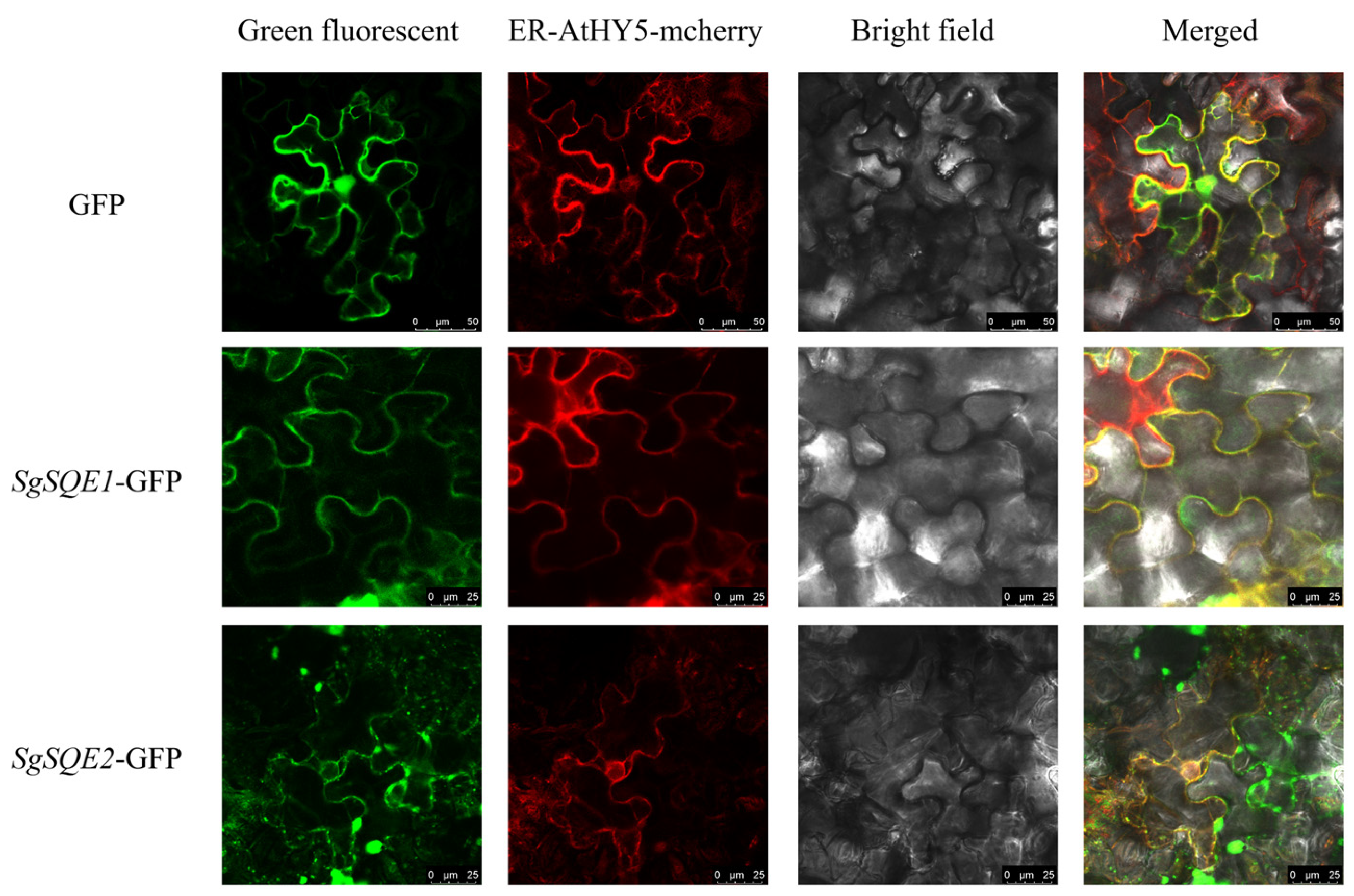 Plants 14 01740 g009