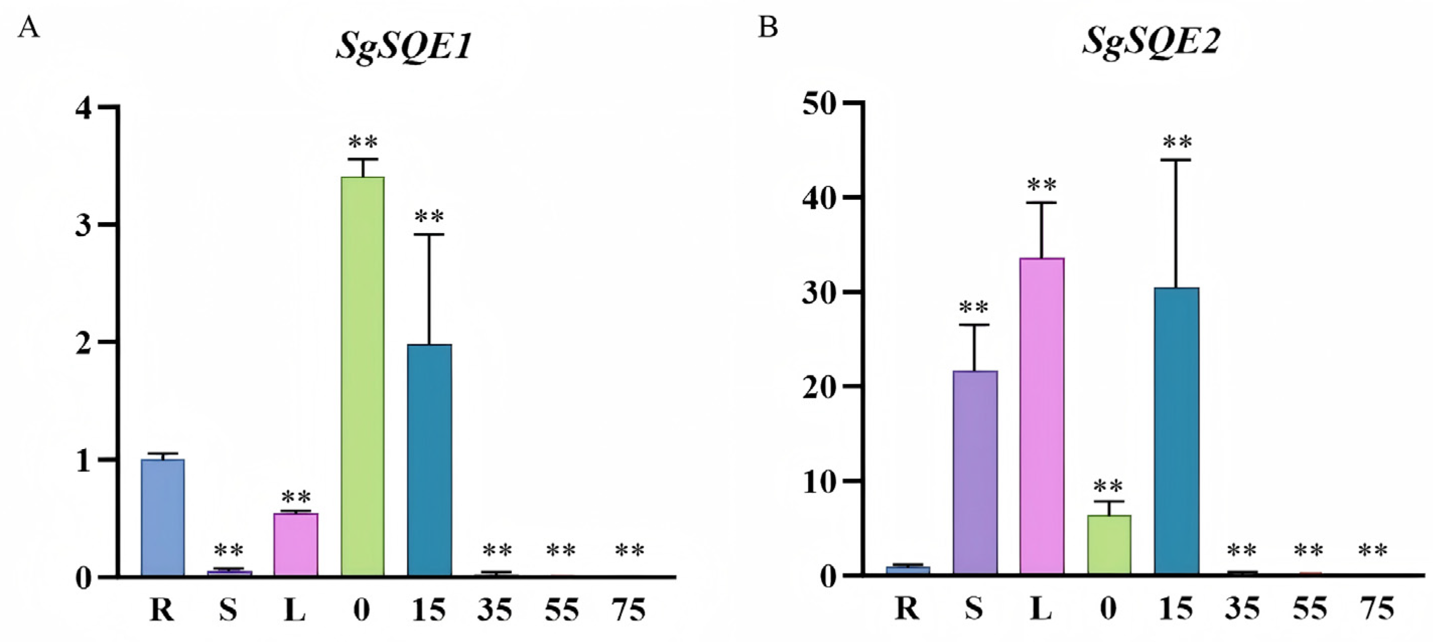 Plants 14 01740 g010