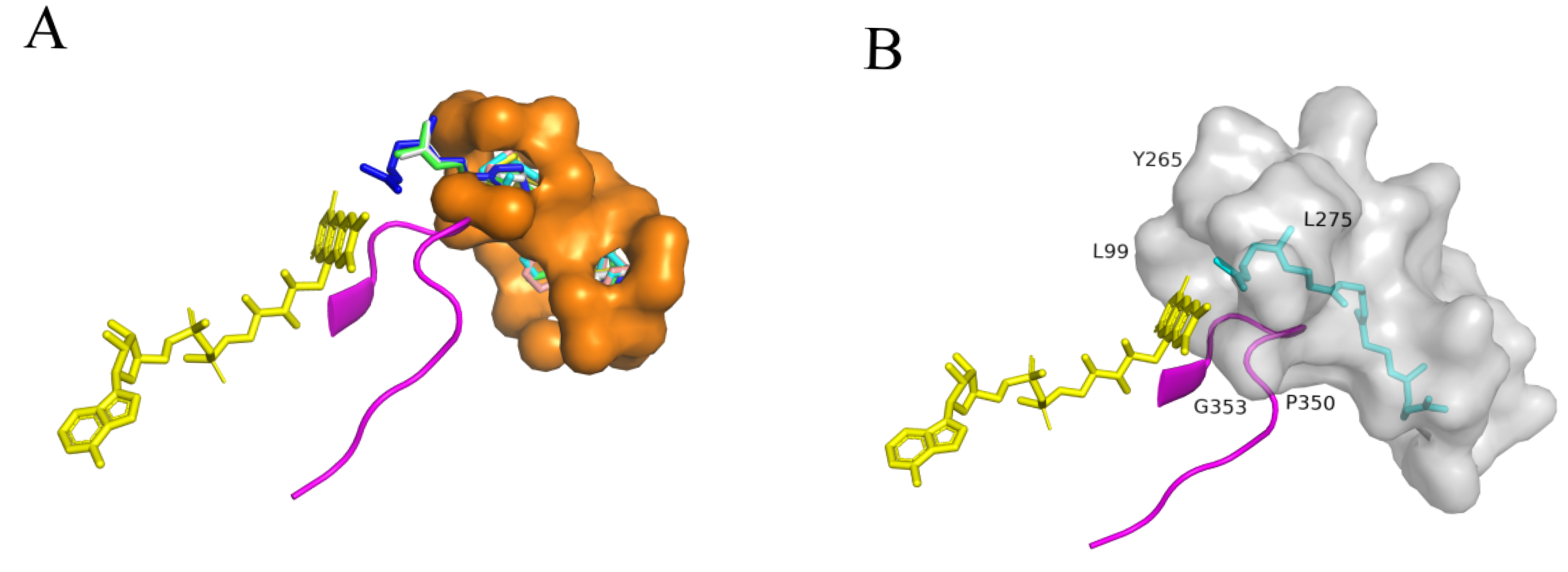 Plants 14 01740 g011