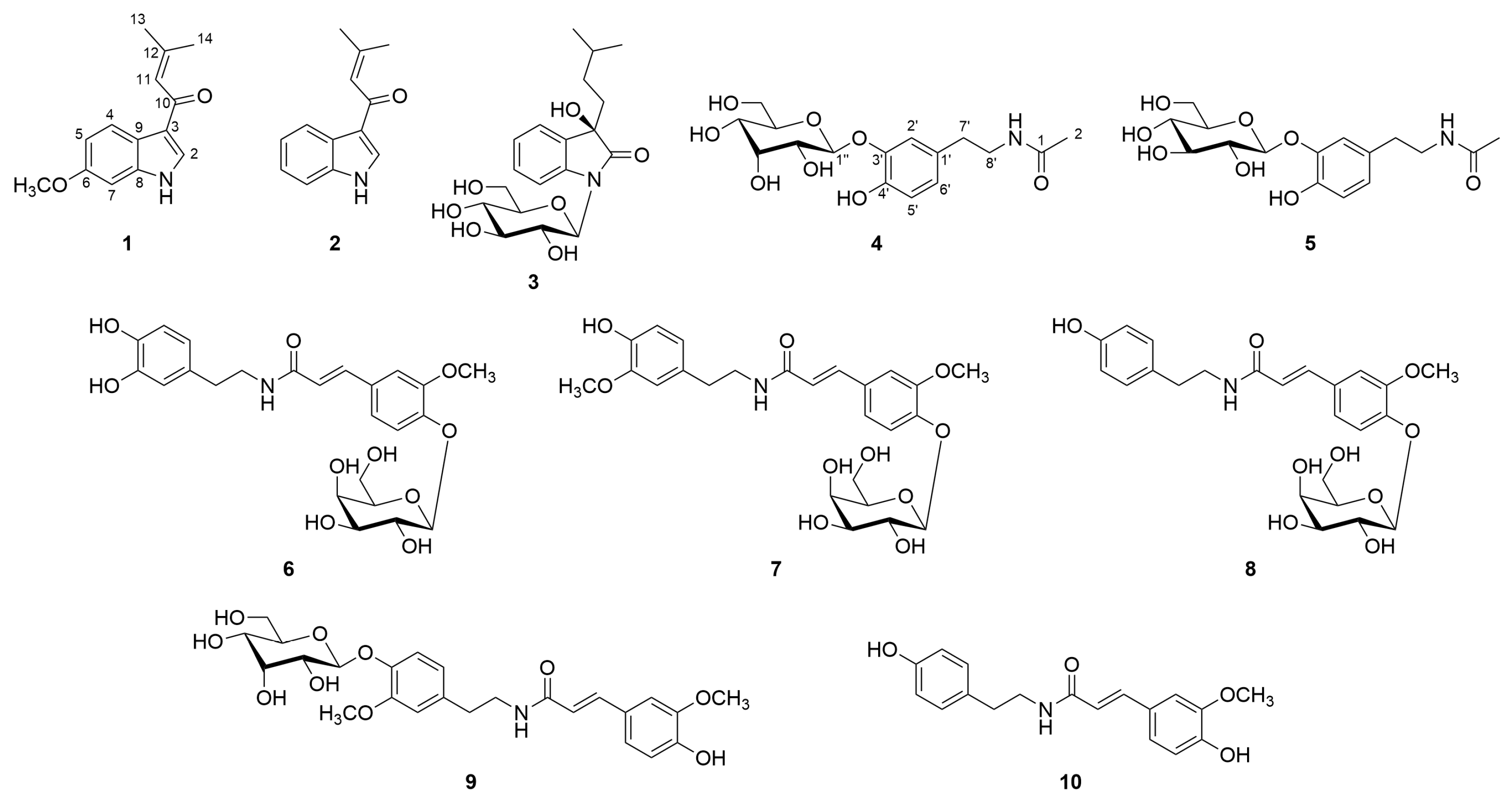 Plants 14 01742 g001