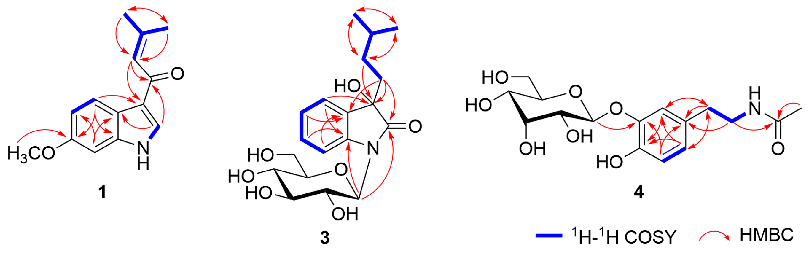 Plants 14 01742 g002