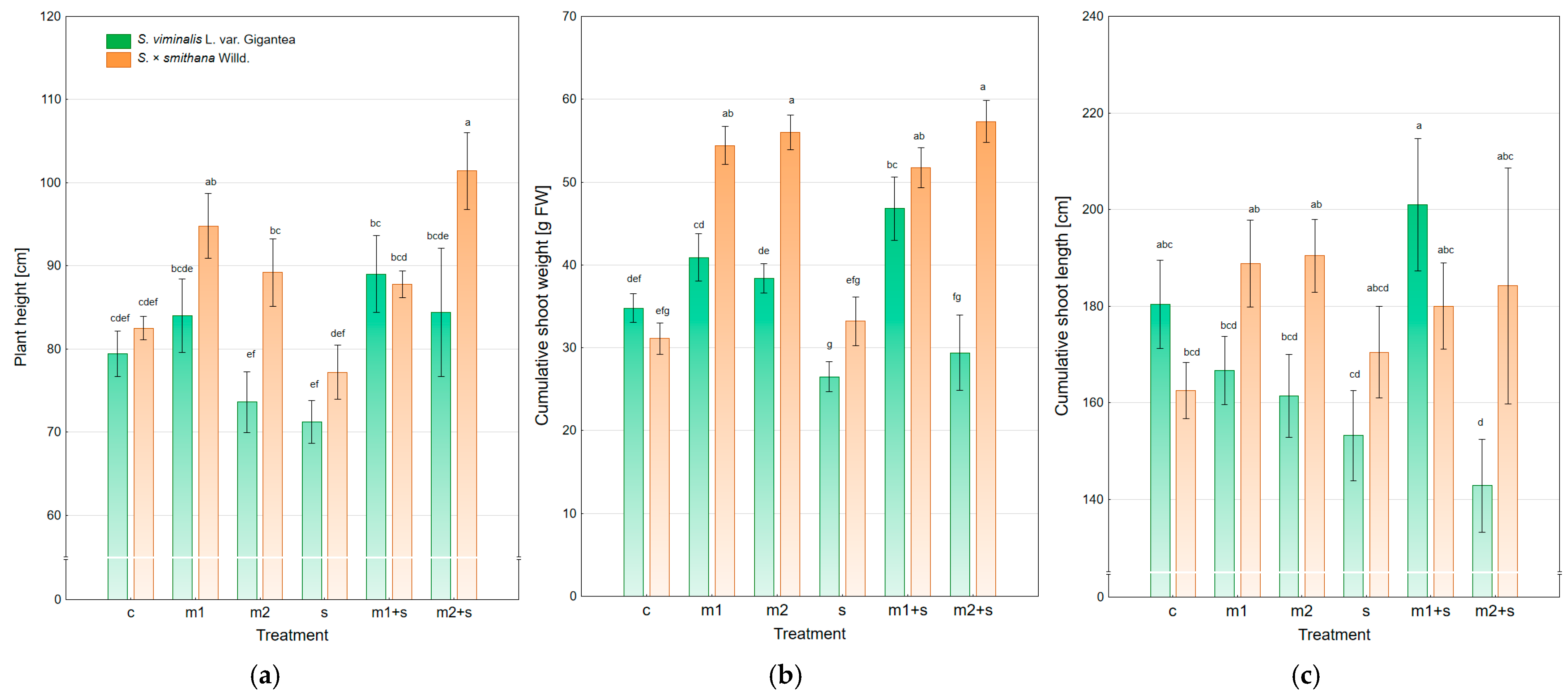 Plants 14 01747 g001