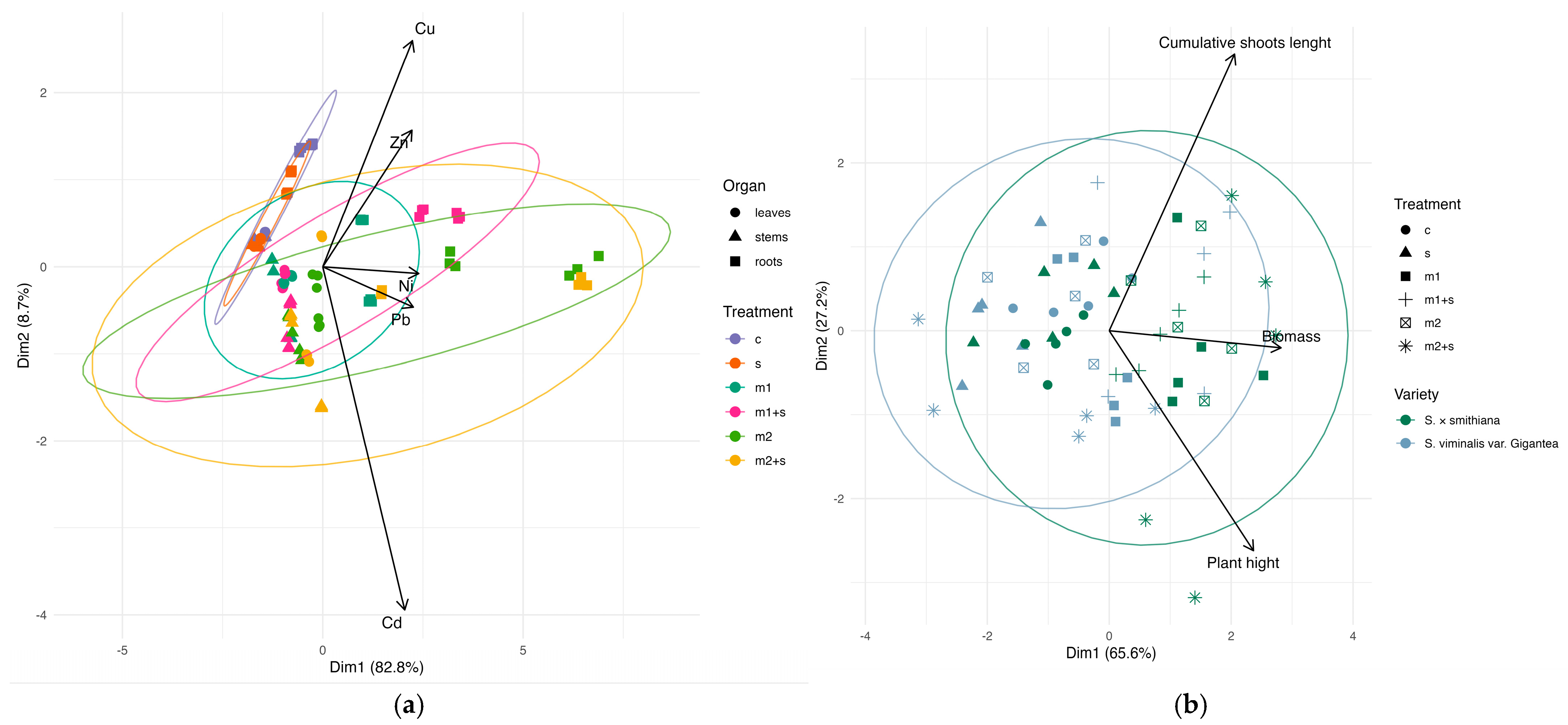 Plants 14 01747 g007