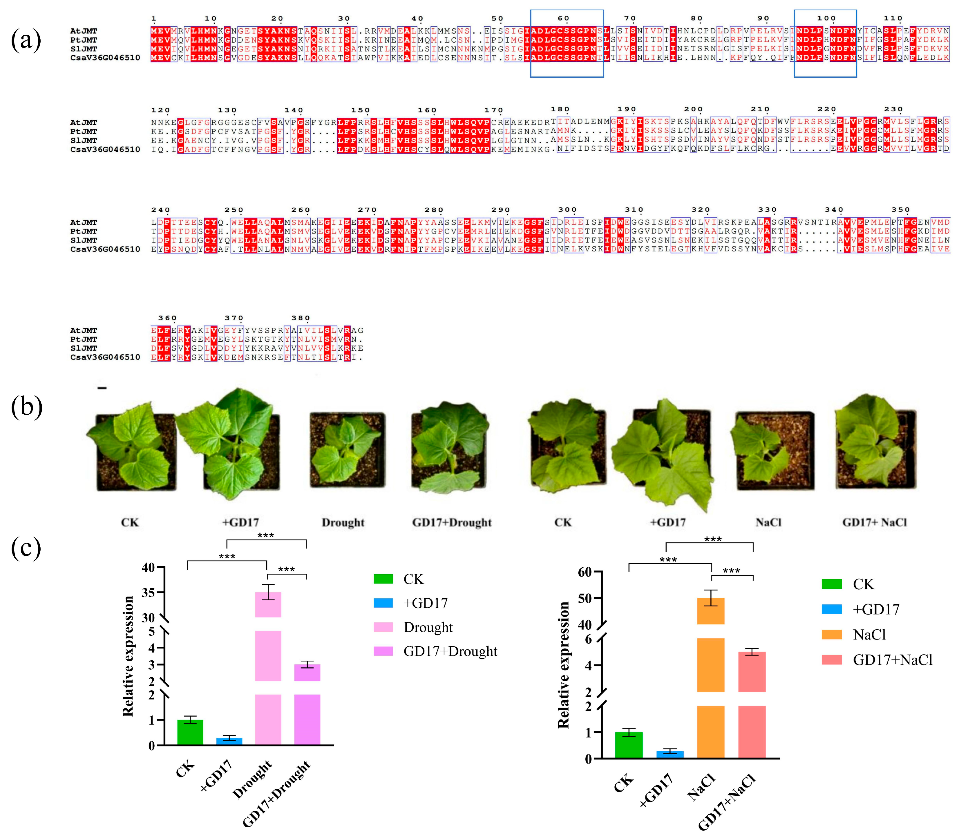 Plants 14 01748 g008