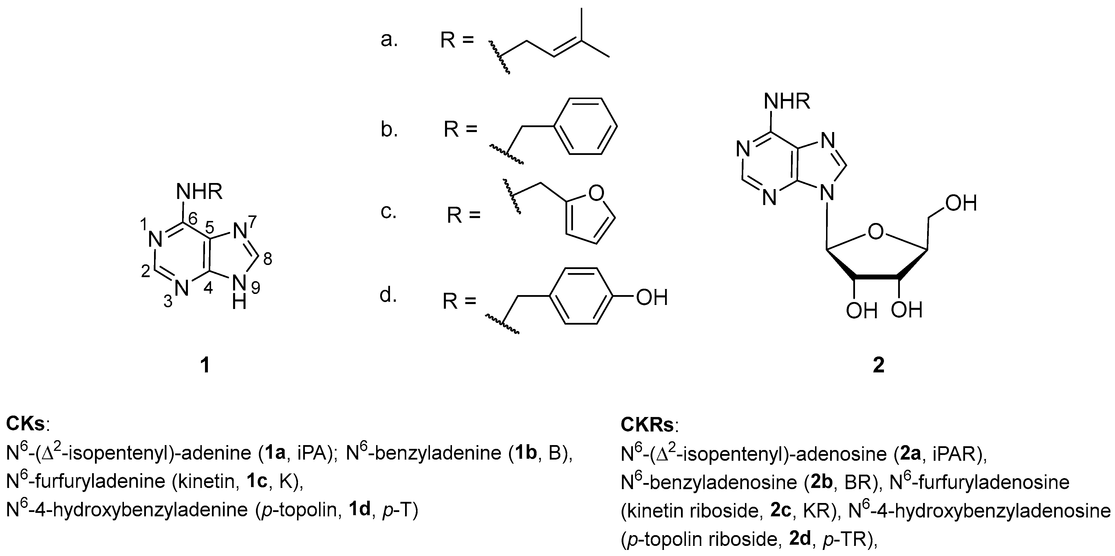 Plants 14 01749 g001 Plants 14 01749 g001