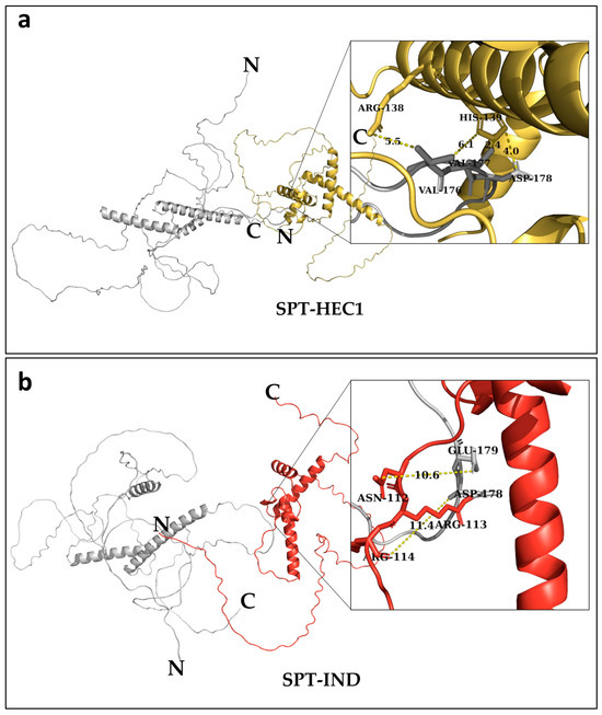 本当に信頼出来る店 Site-Directed Mutagenesis Mediated by Molecular Modeling and その他
