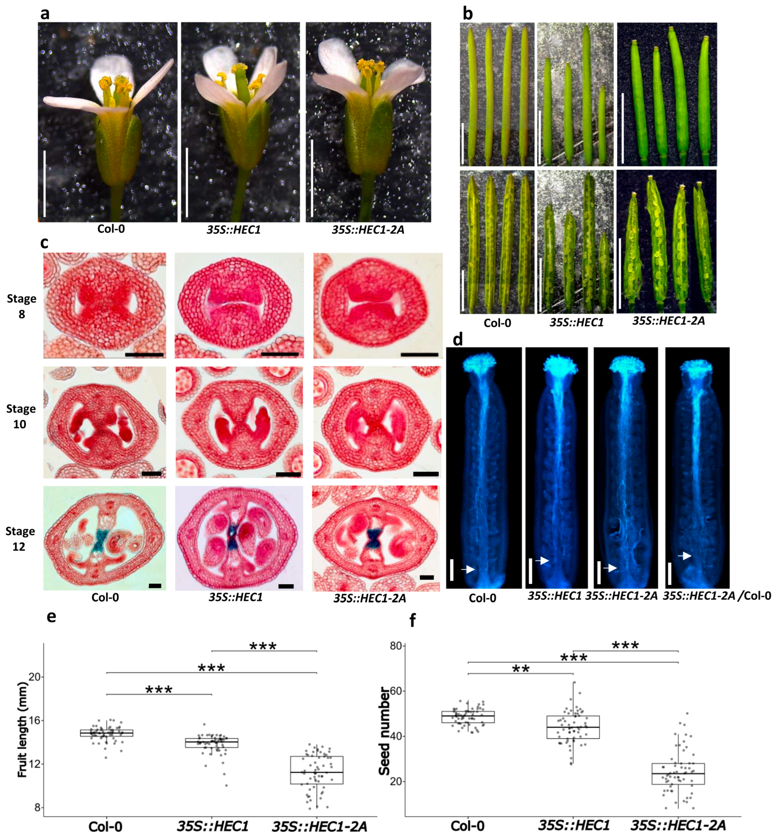 Plants 14 01756 g005