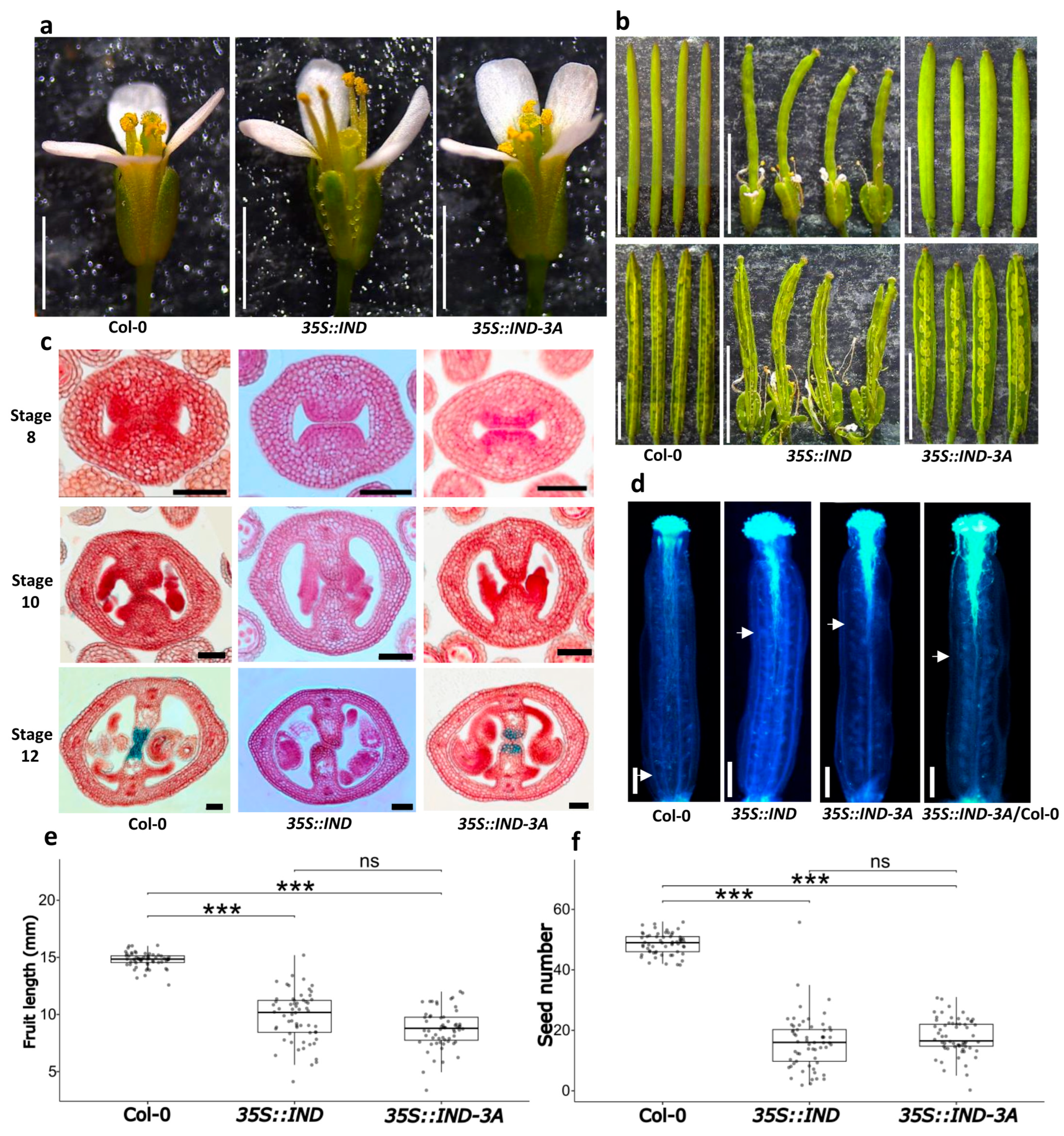 Plants 14 01756 g006