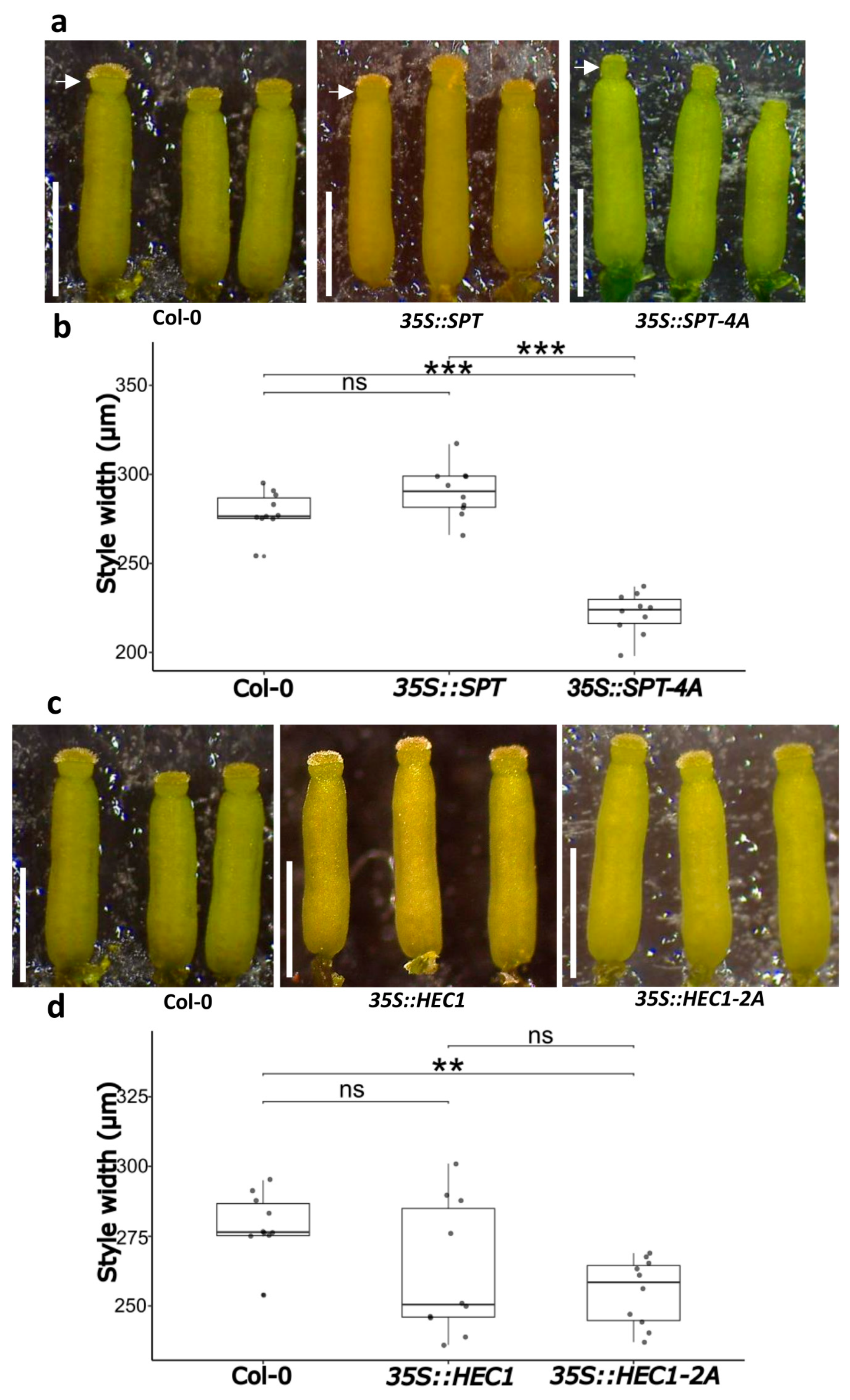 Plants 14 01756 g007