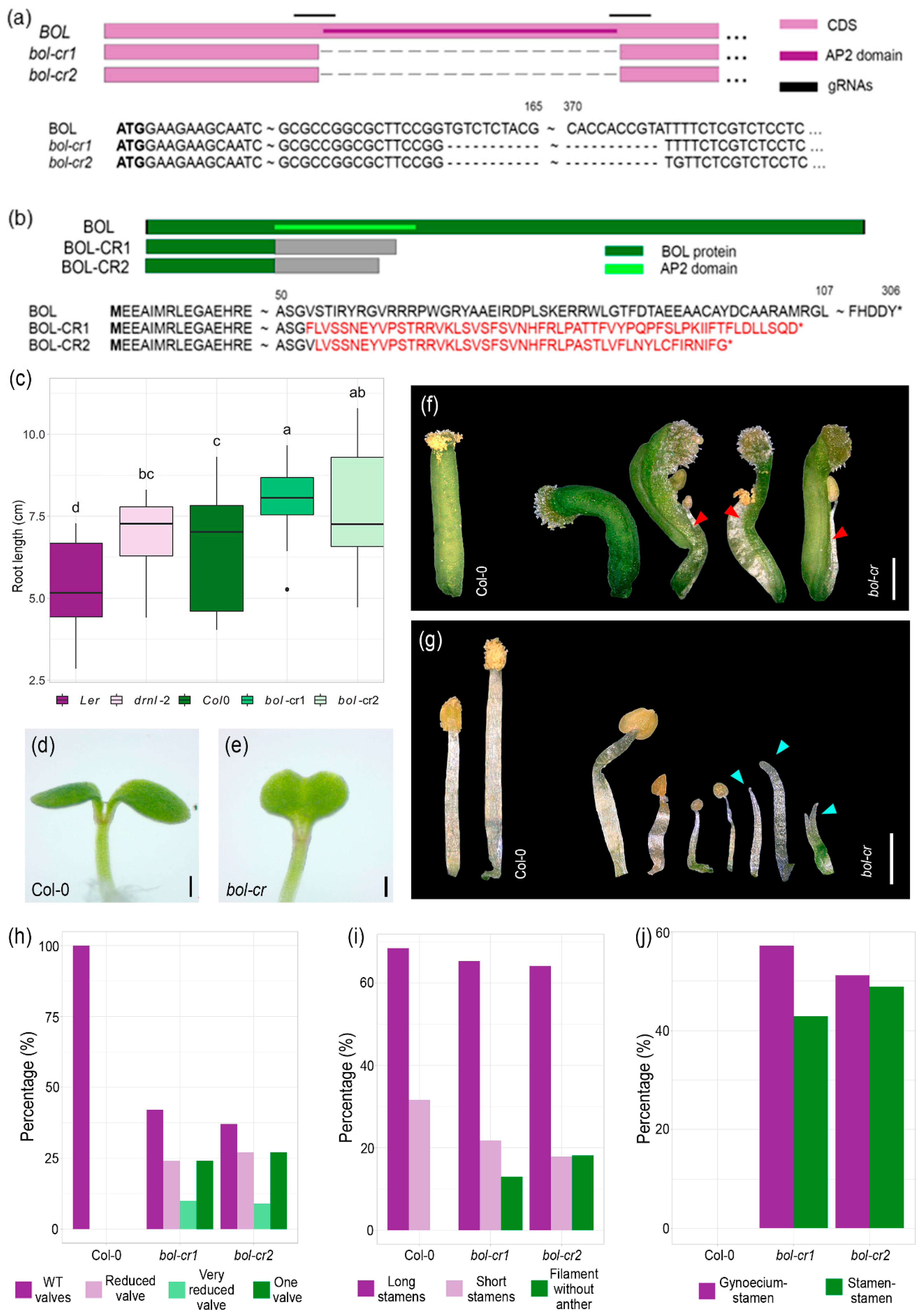 Plants 14 01757 g001 Plants 14 01757 g001