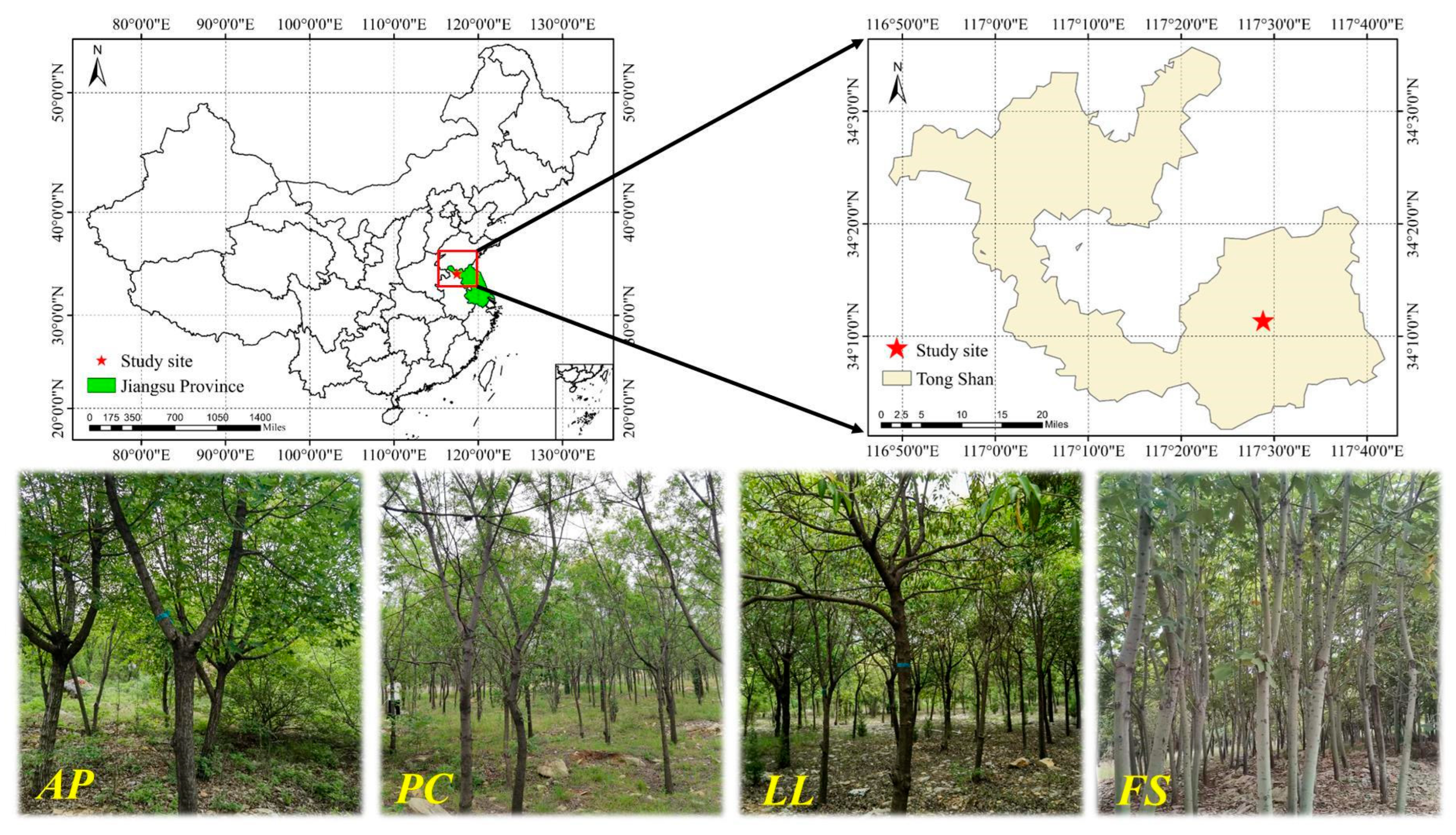 Plants 14 01758 g006