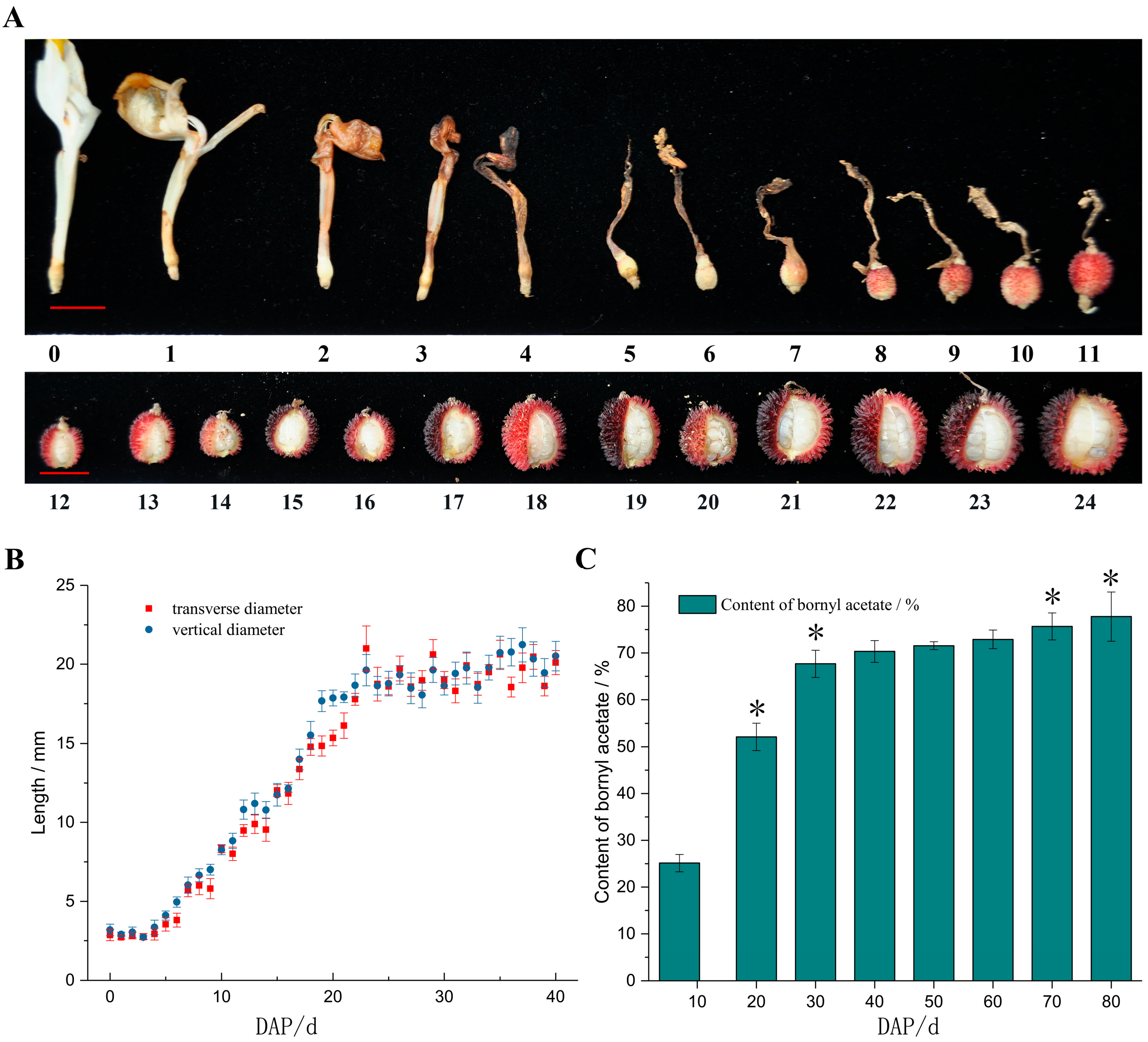 Plants 14 01767 g001