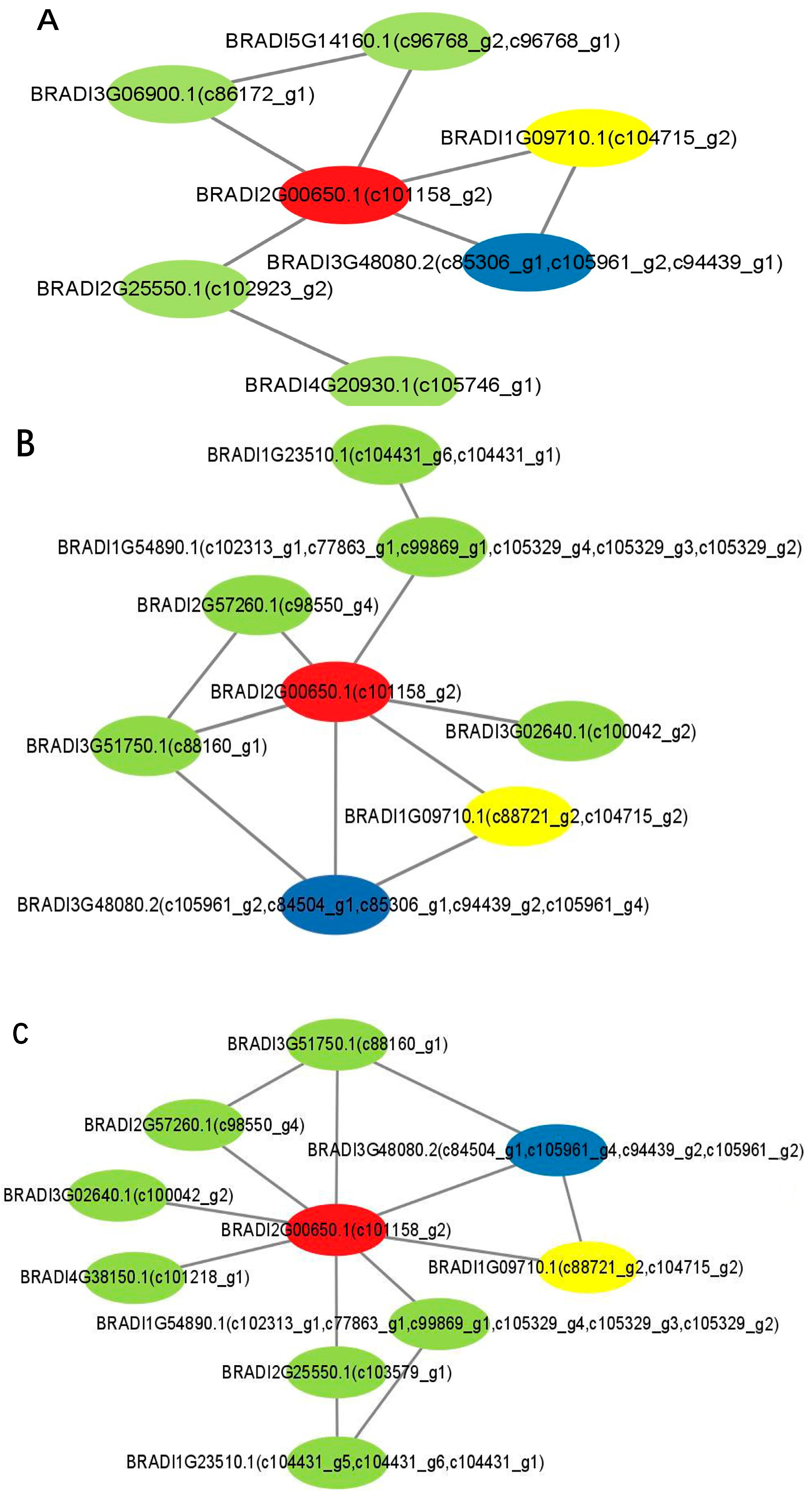 Plants 14 01767 g005
