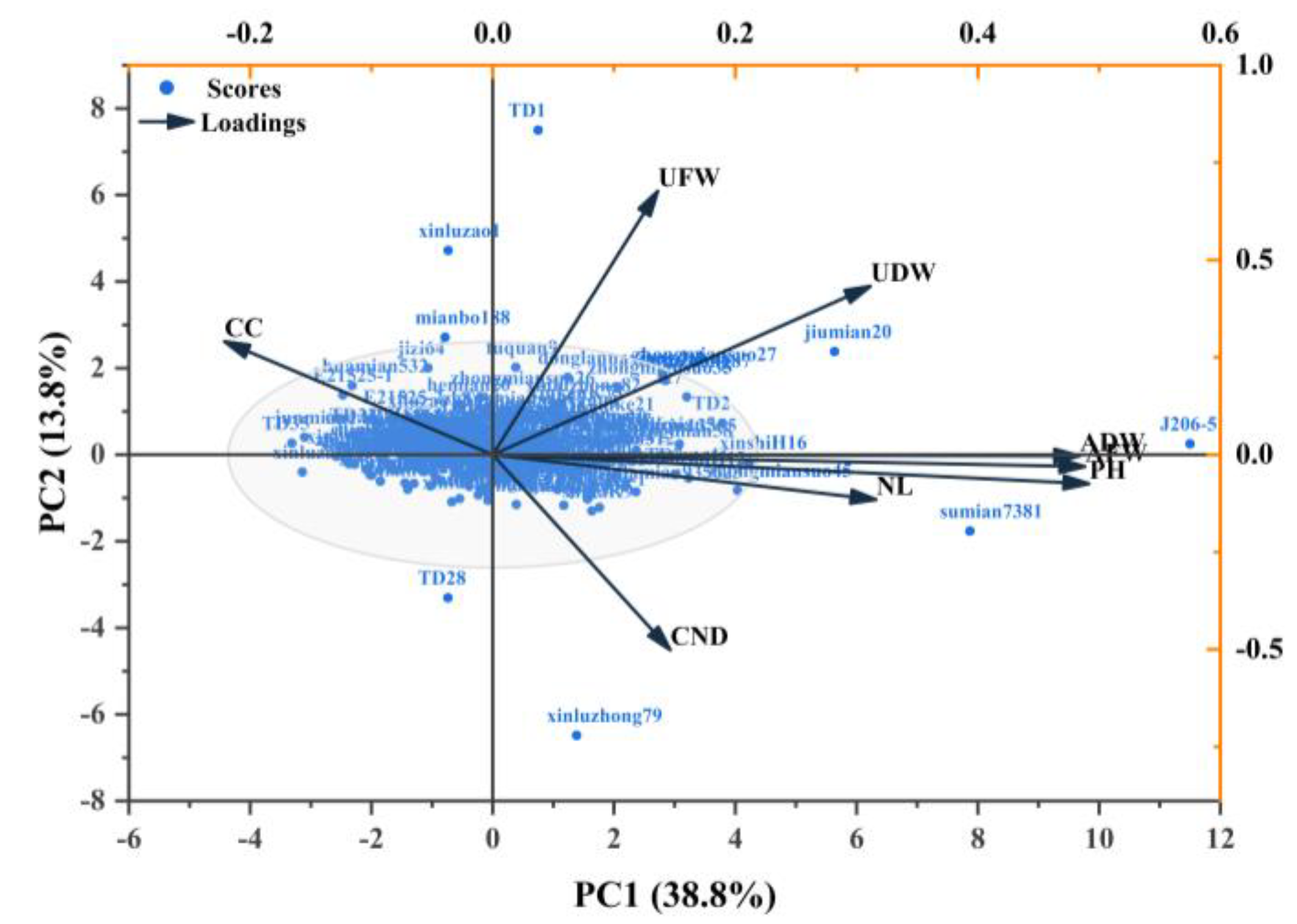 Plants 14 01770 g002