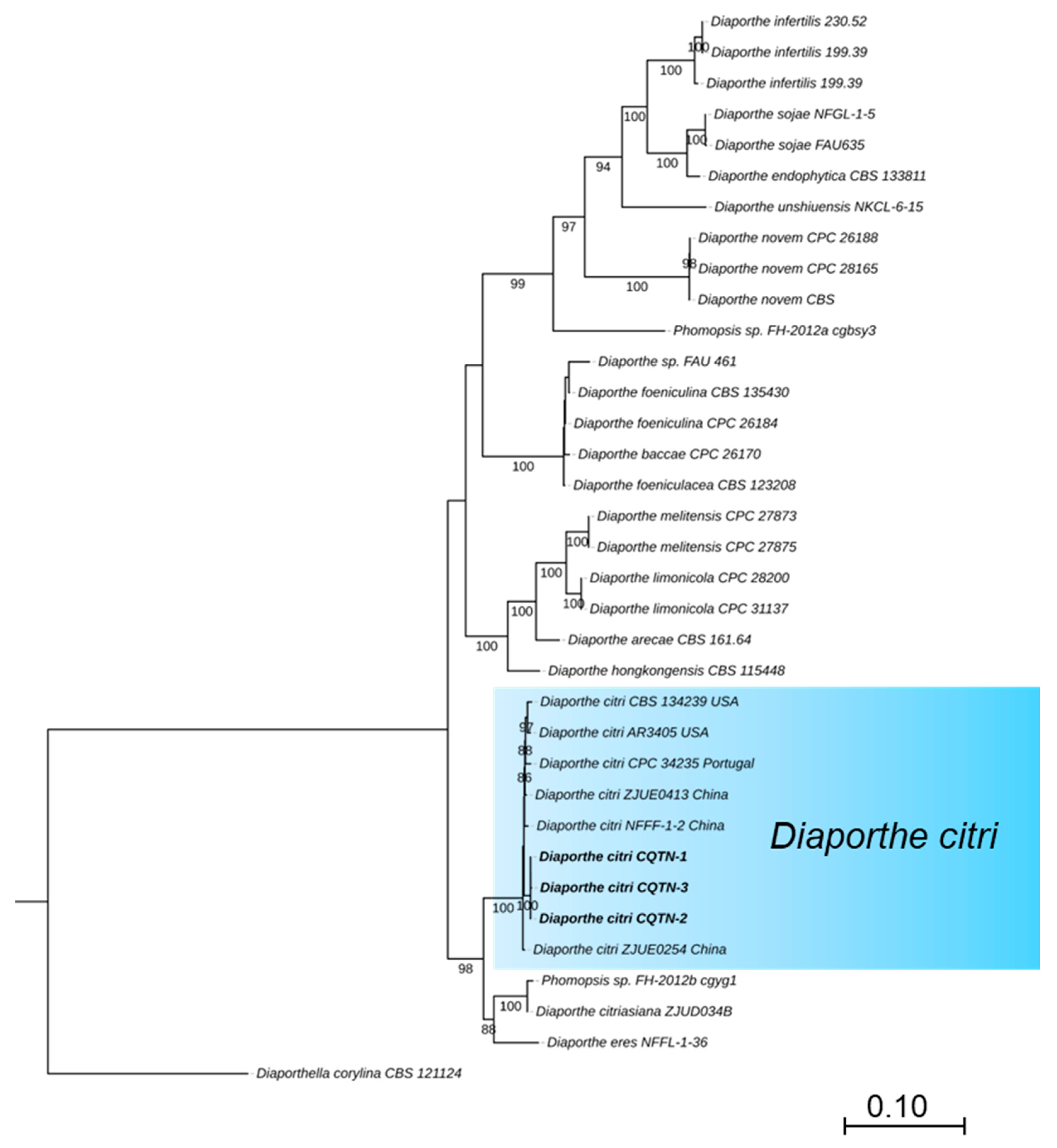 Plants 14 01771 g002