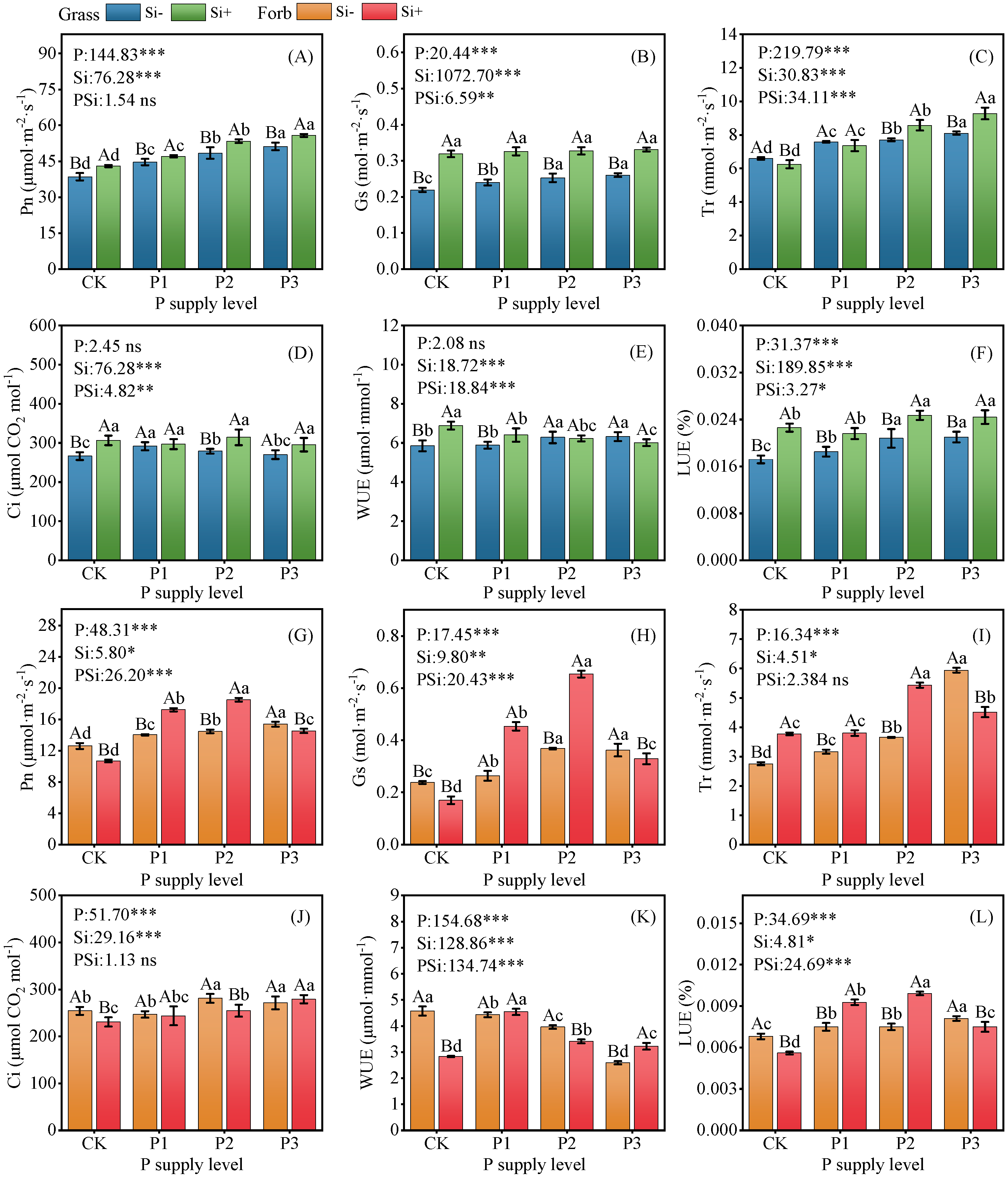Plants 14 01779 g002