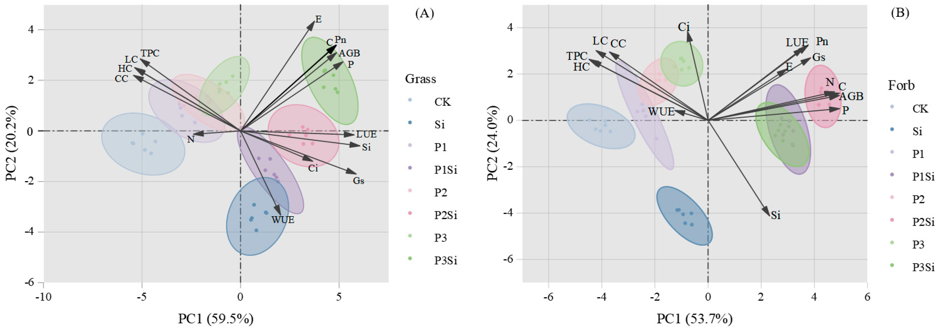 Plants 14 01779 g006
