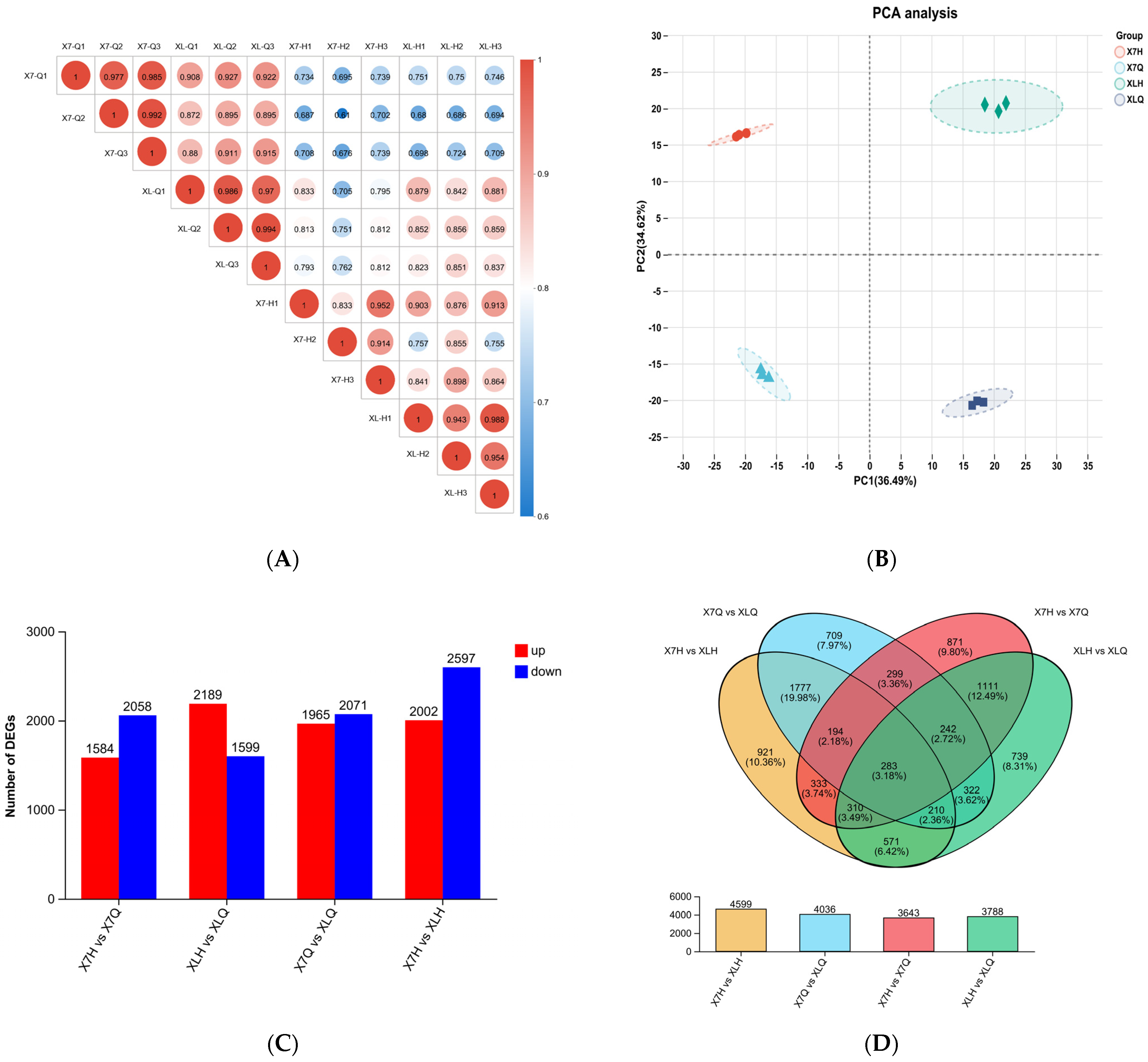 Plants 14 01783 g003