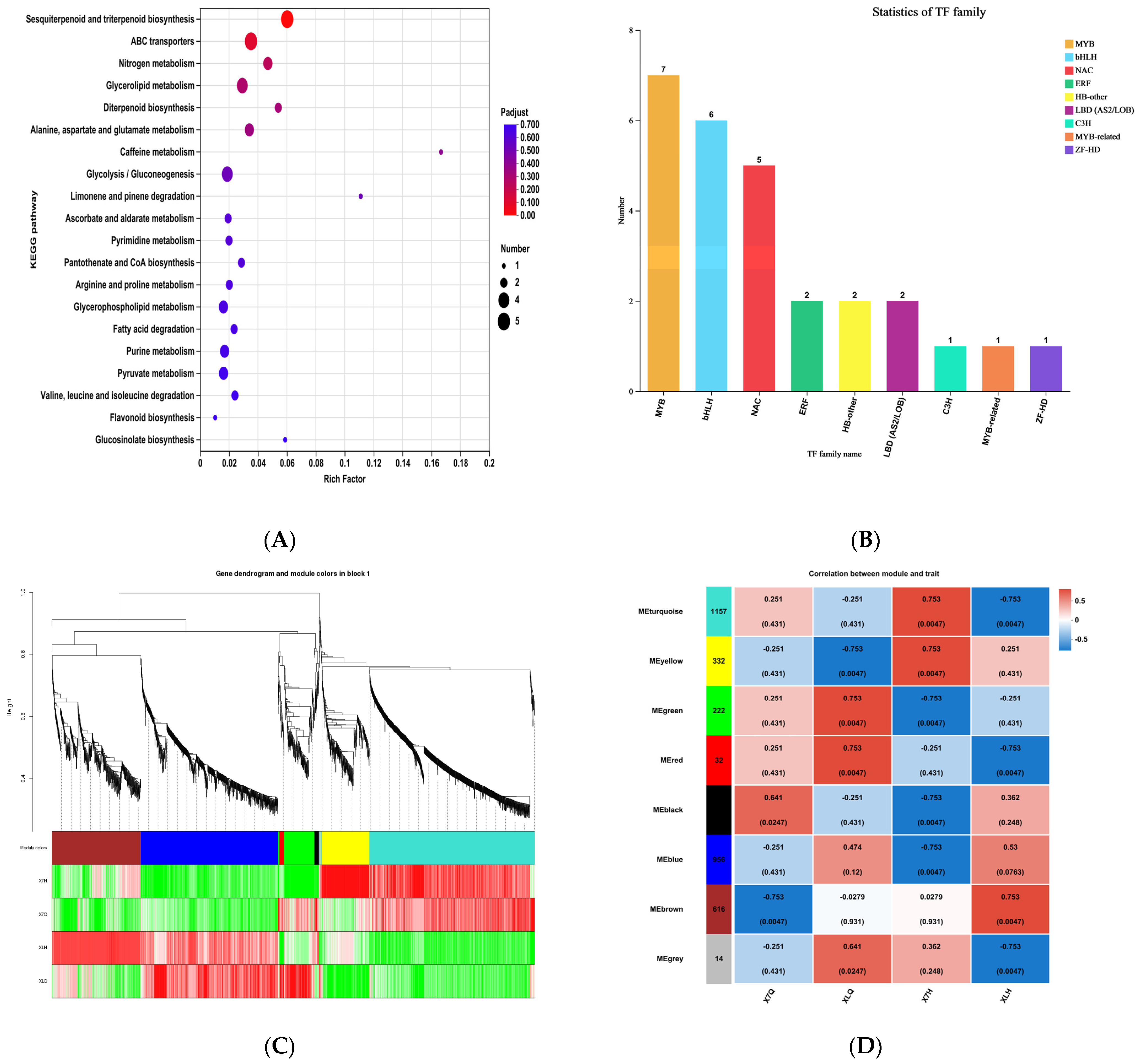 Plants 14 01783 g004