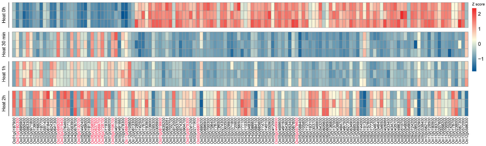 Plants 14 01784 g001
