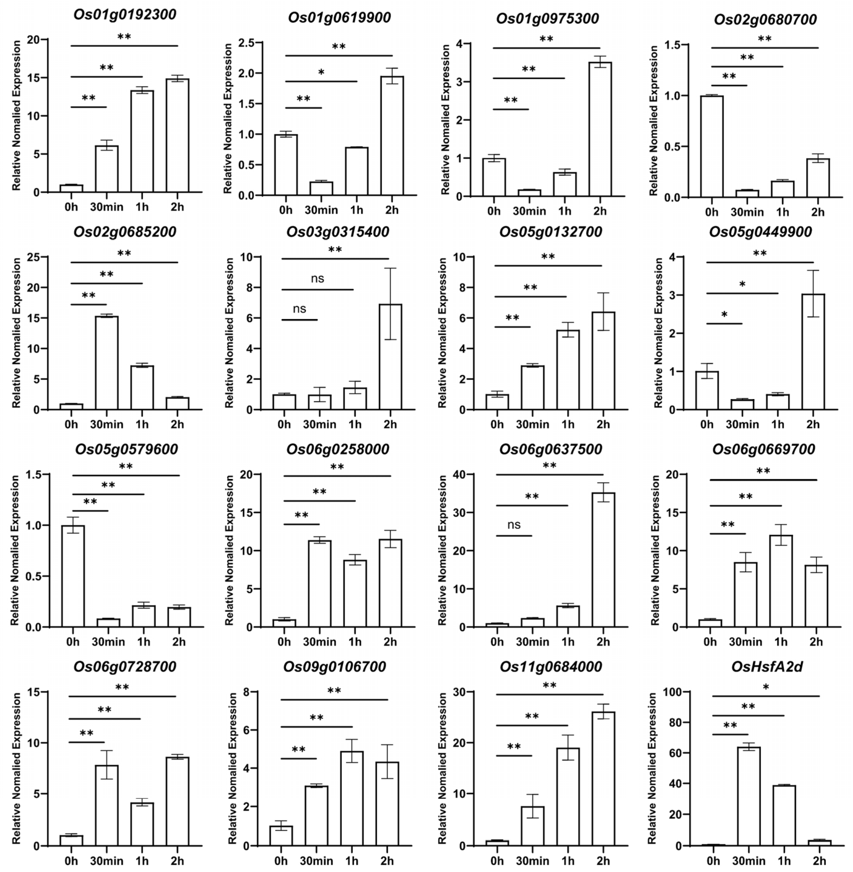 Plants 14 01784 g002