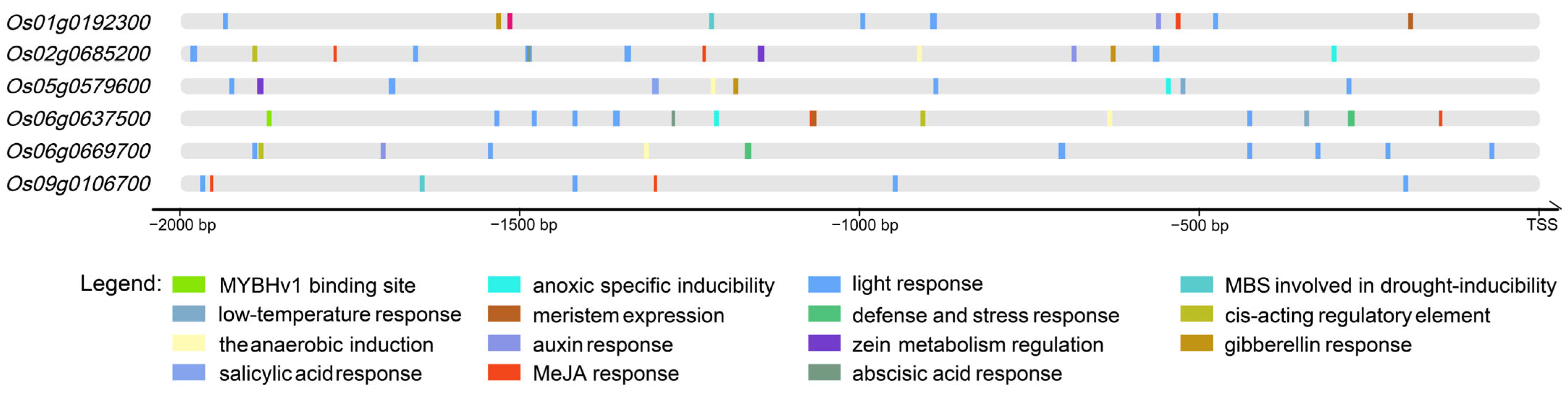Plants 14 01784 g003