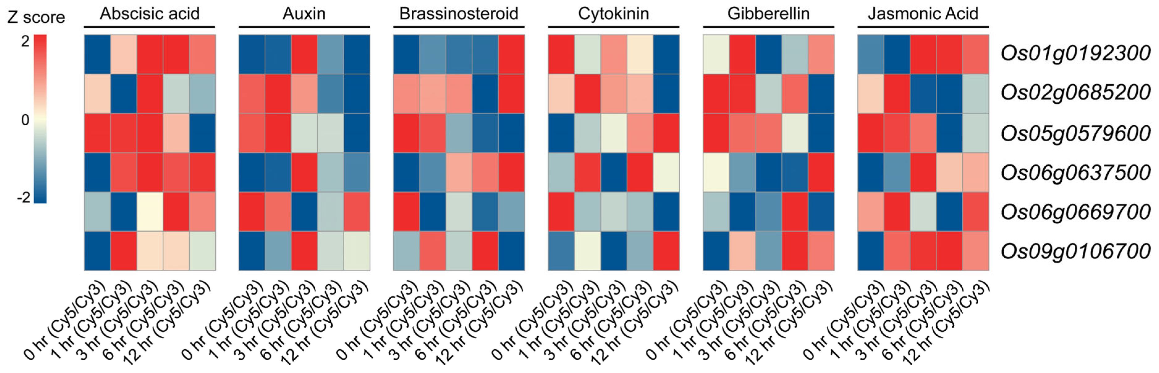 Plants 14 01784 g004