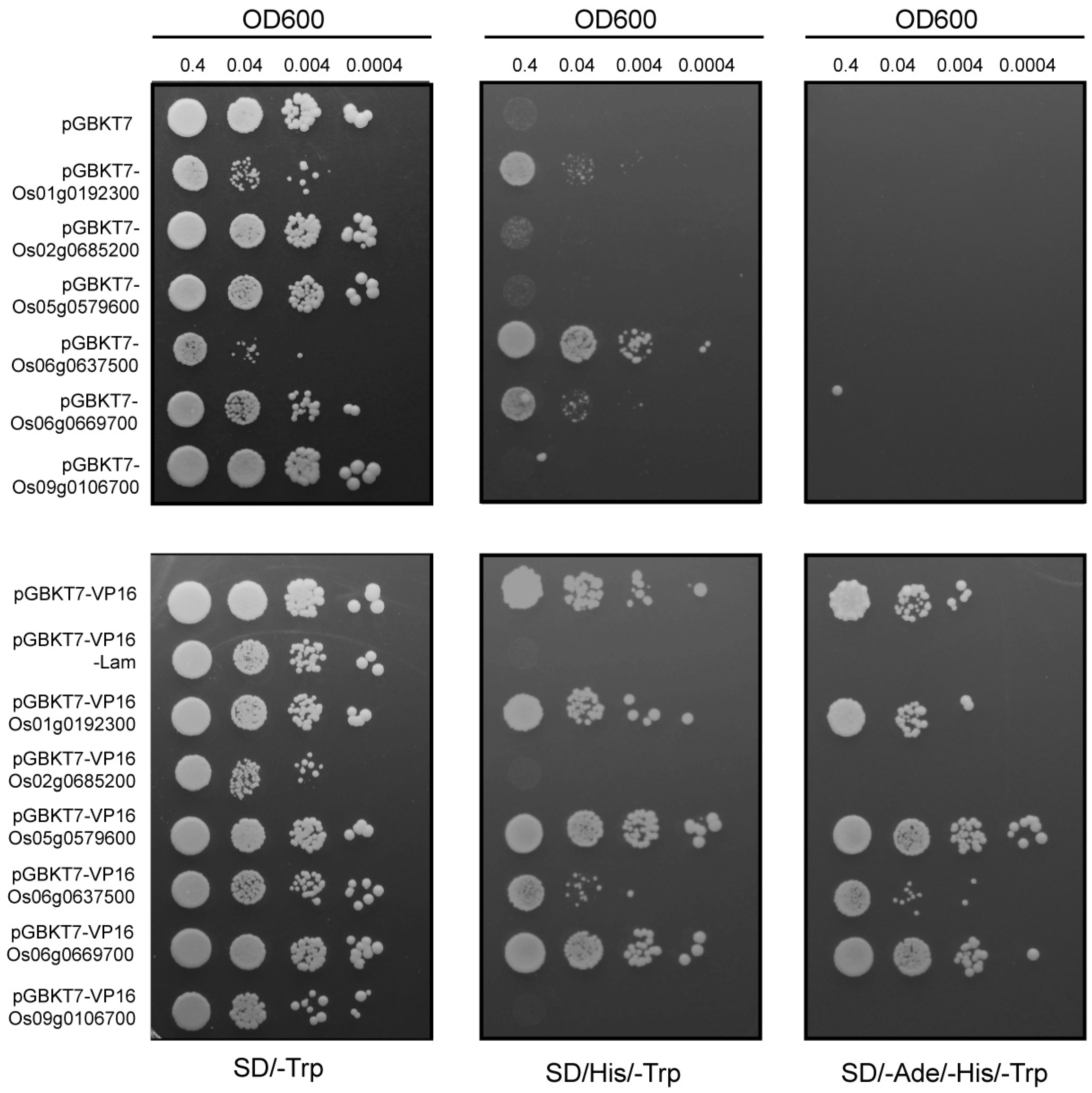 Plants 14 01784 g006