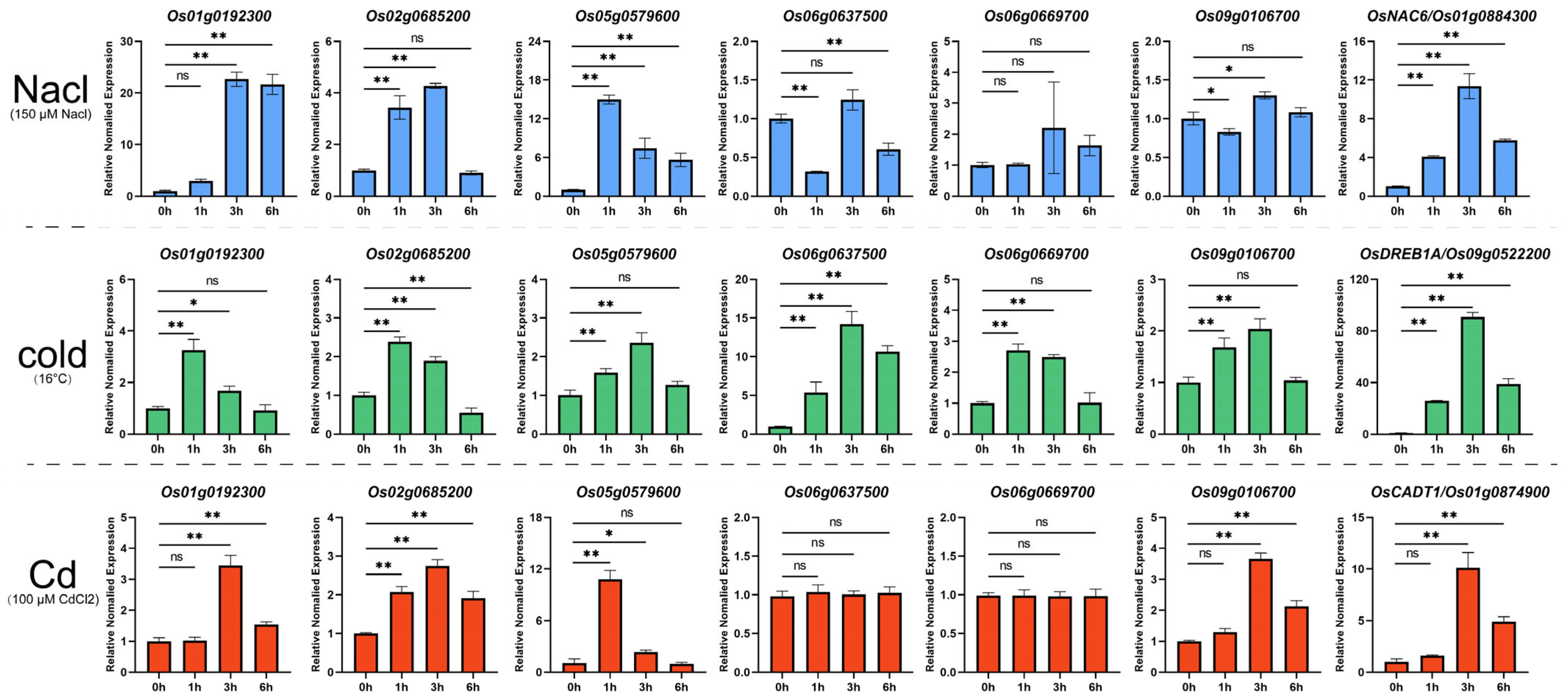 Plants 14 01784 g007