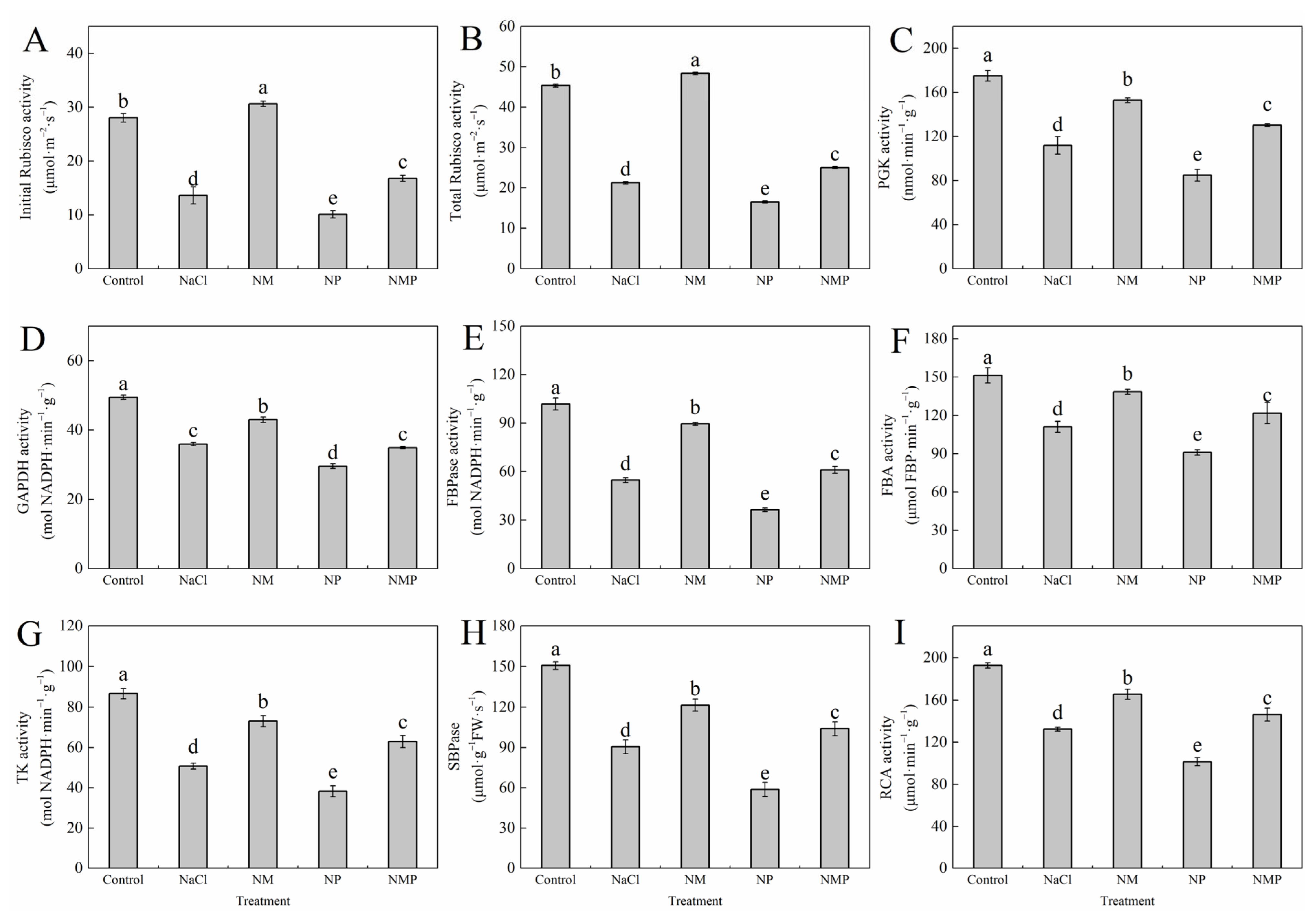 Plants 14 01785 g008