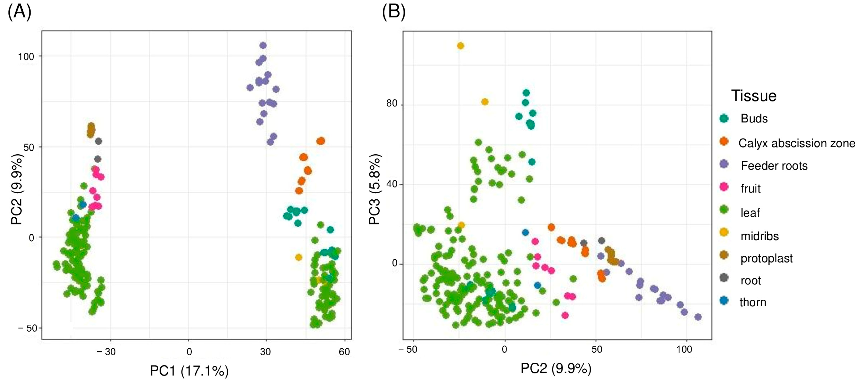 Plants 14 01792 g002