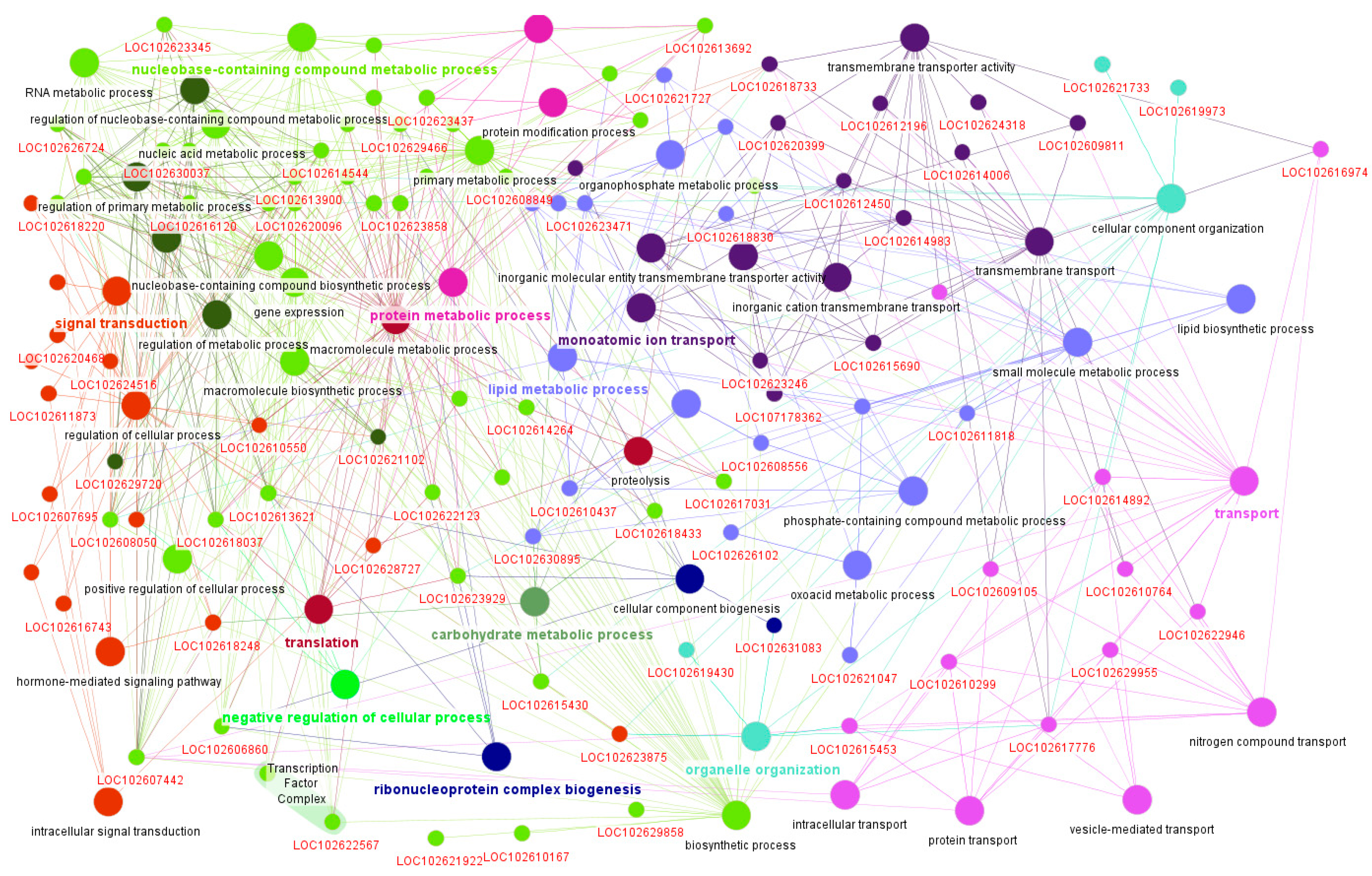 Plants 14 01792 g005