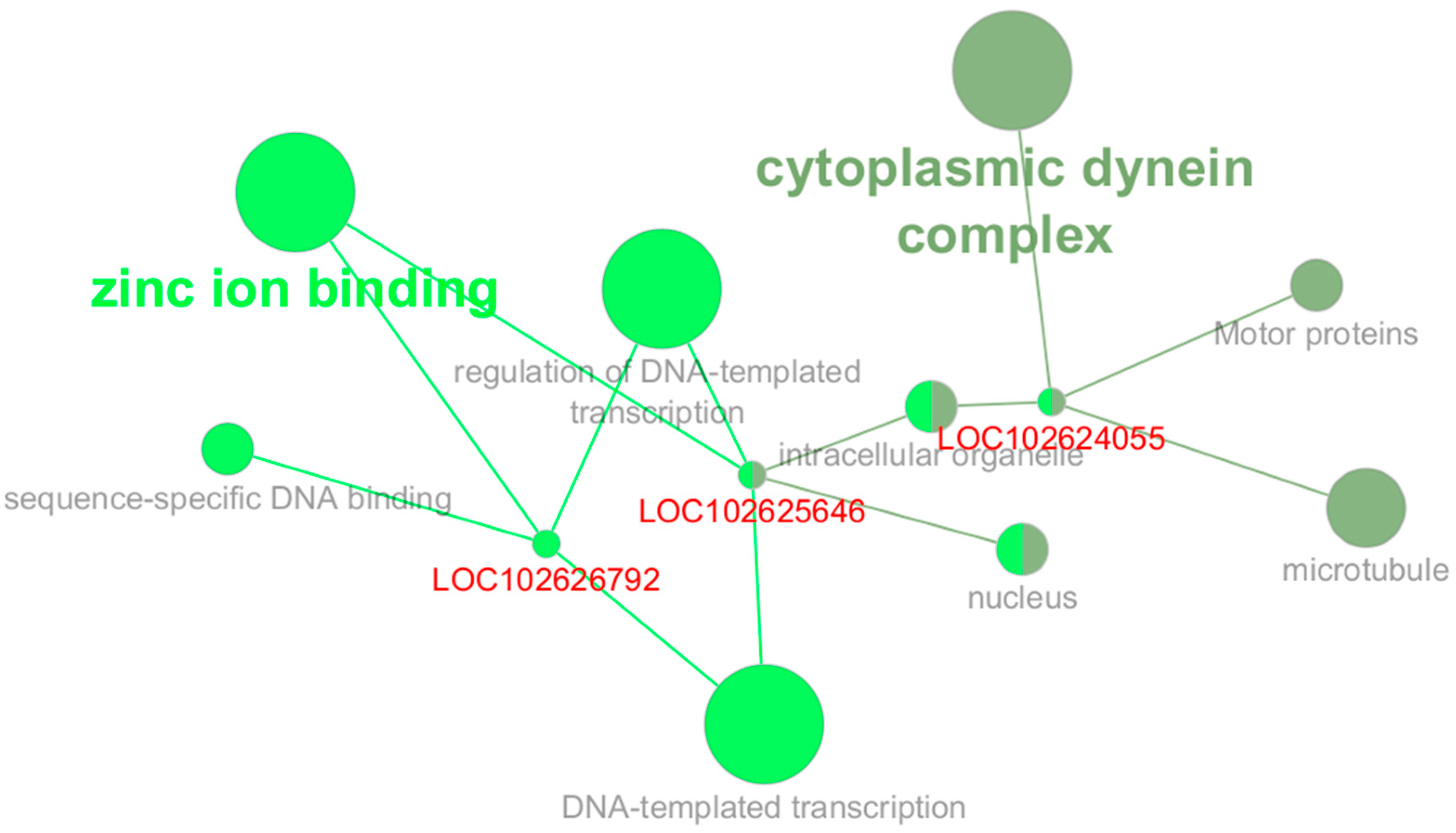 Plants 14 01792 g006