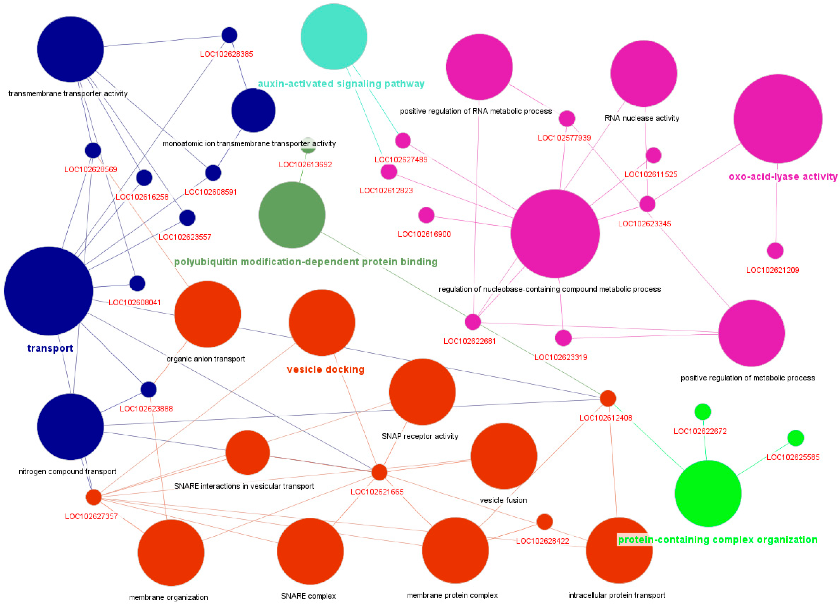 Plants 14 01792 g007