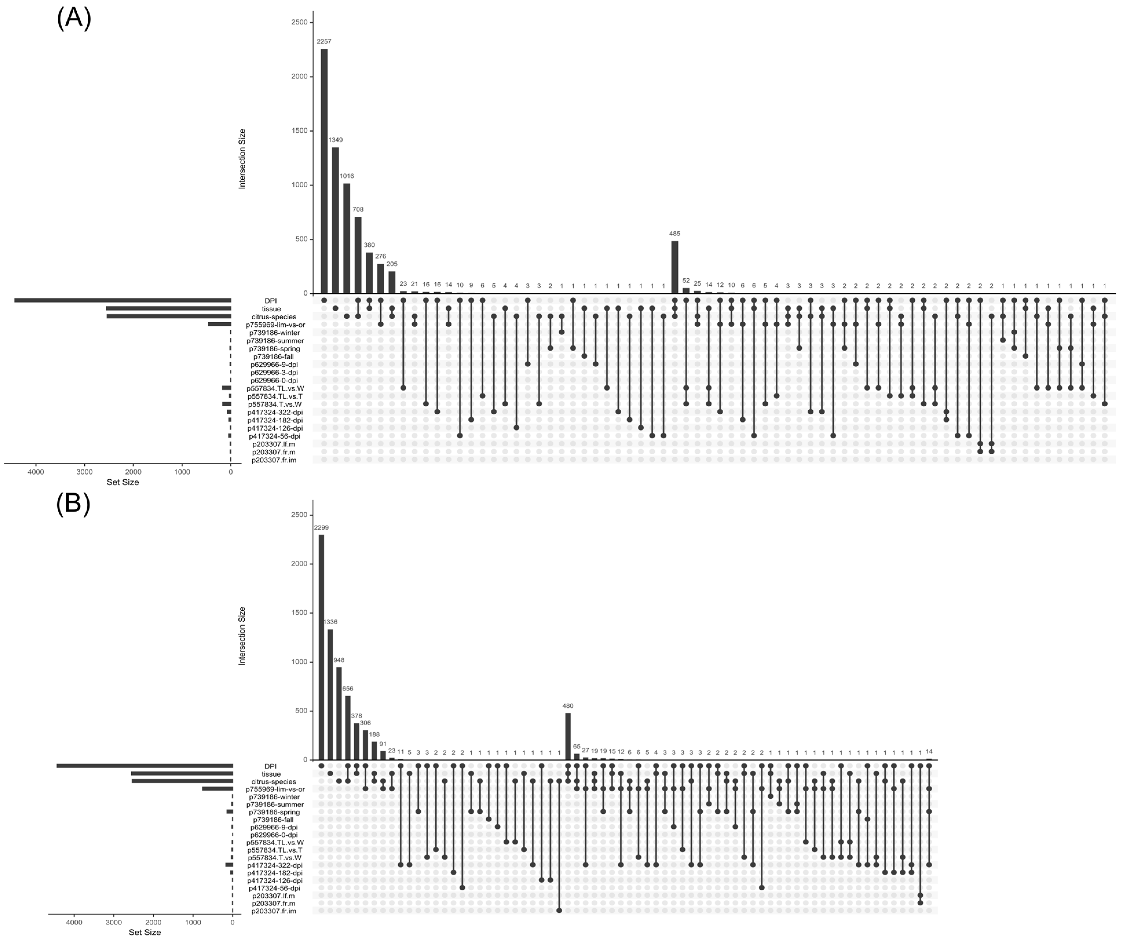 Plants 14 01792 g008