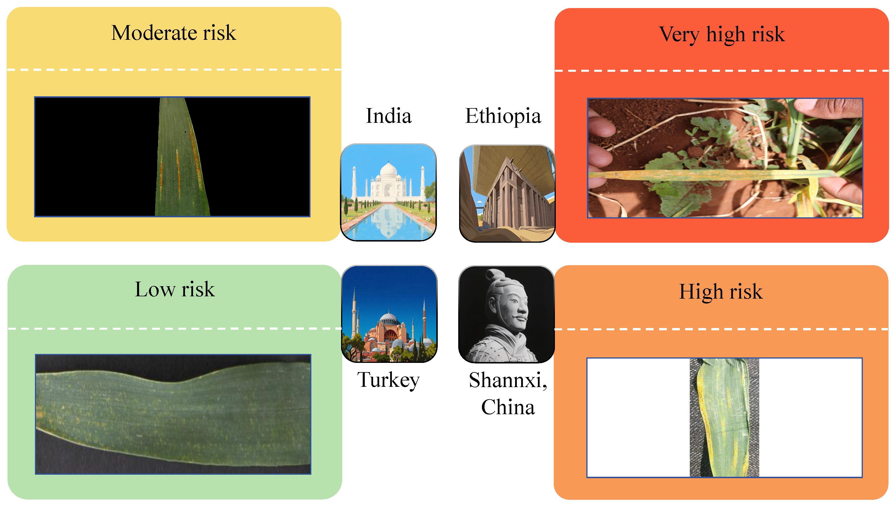 Plants 14 01794 g017