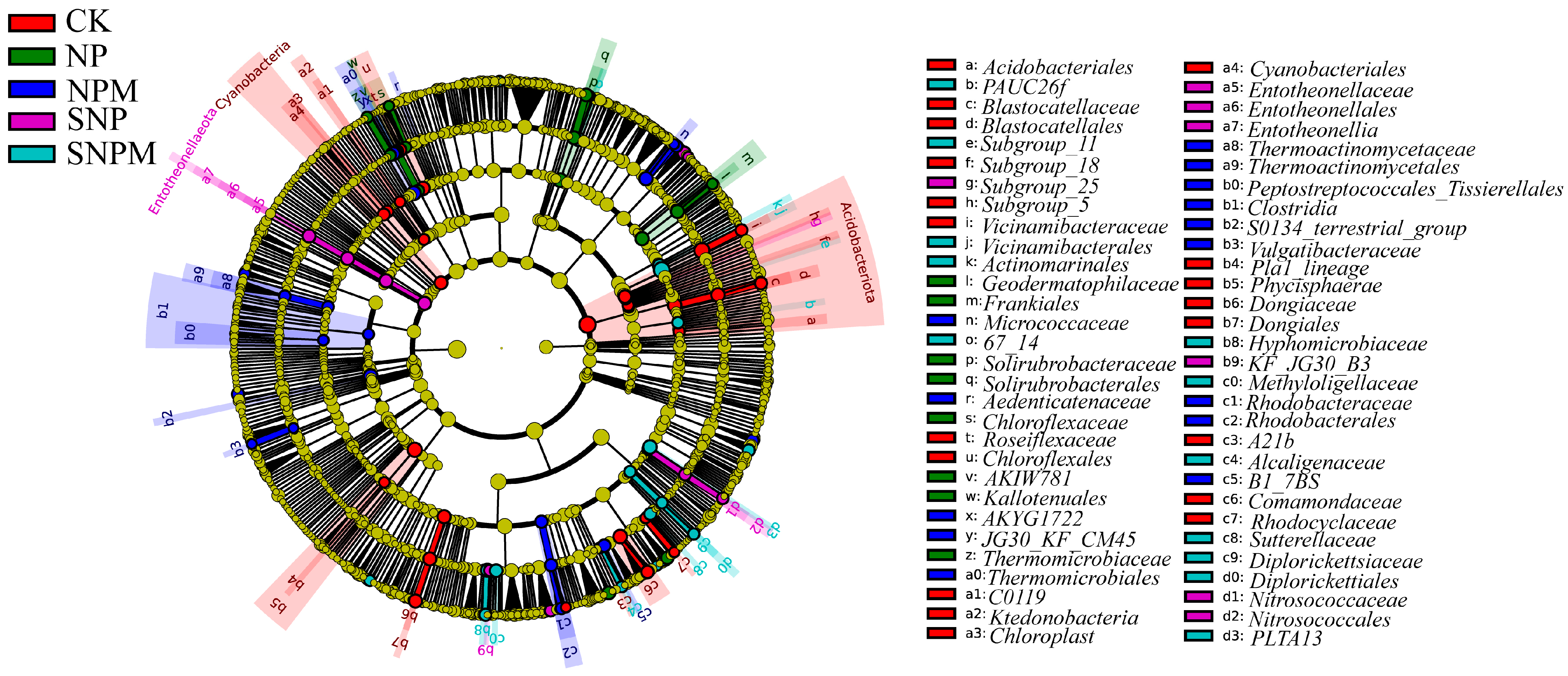 Plants 14 01795 g006