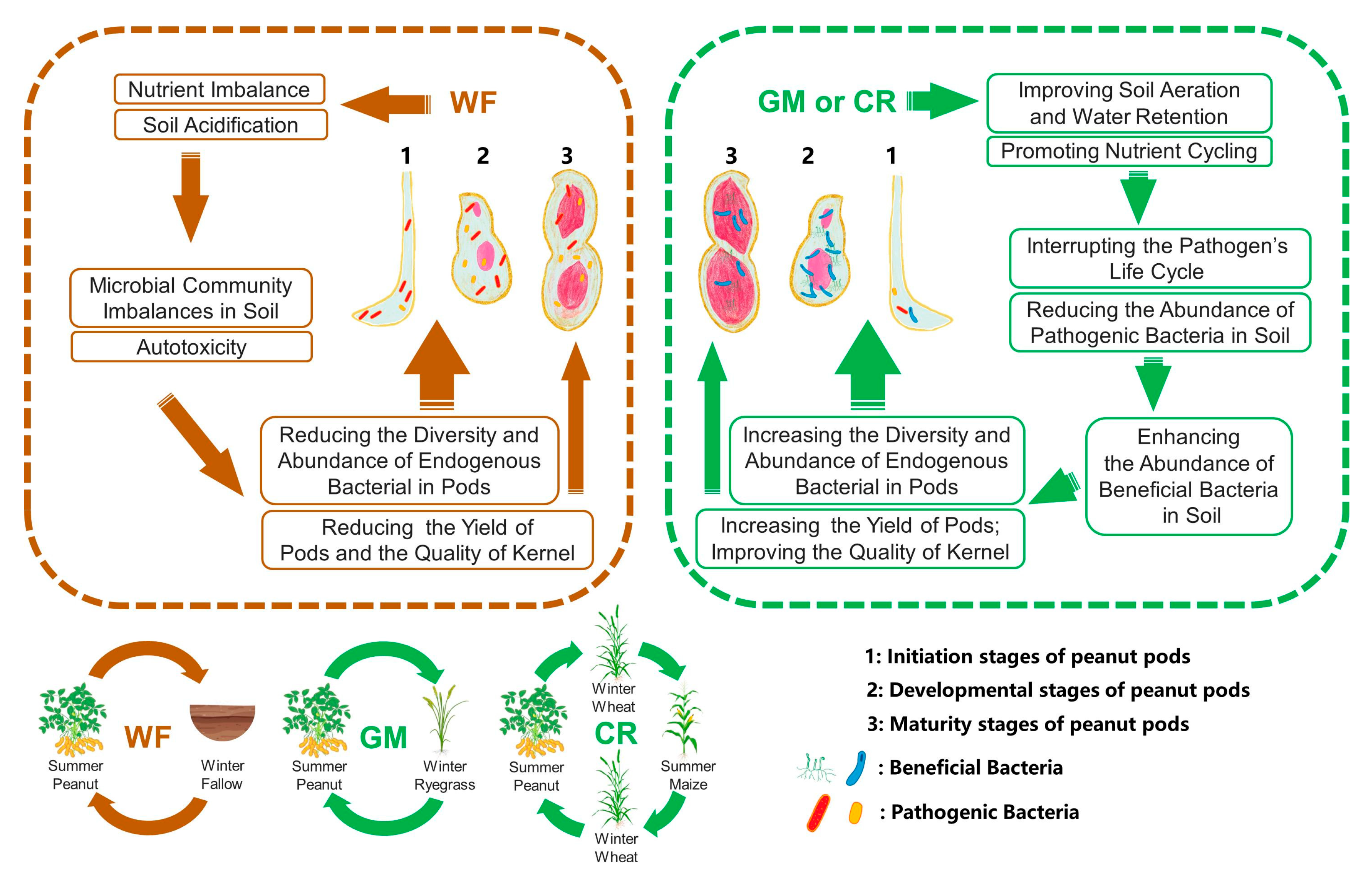 Plants 14 01799 g001