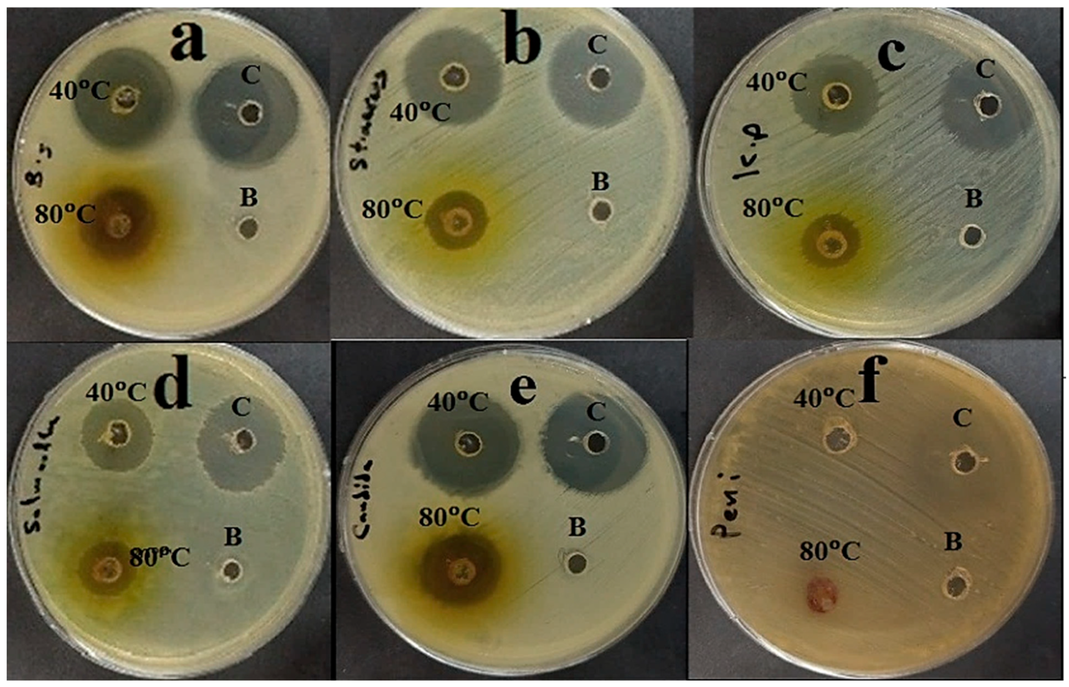 Plants 14 01813 g004