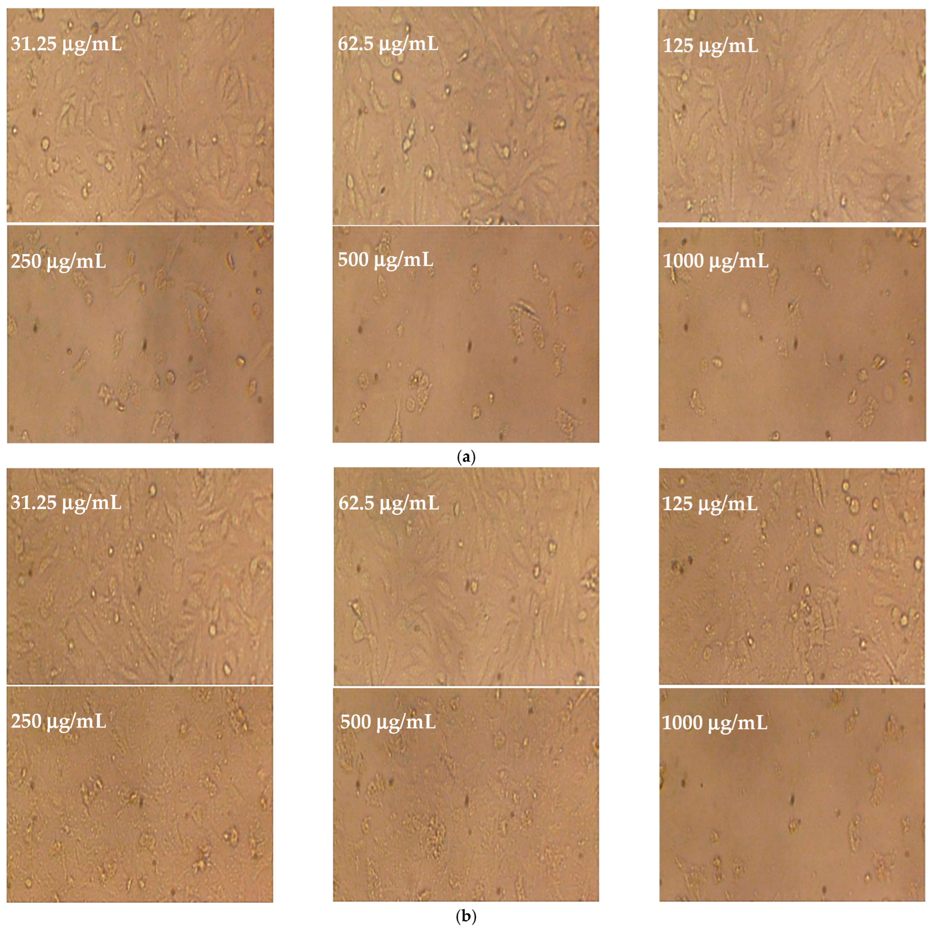 Plants 14 01813 g009