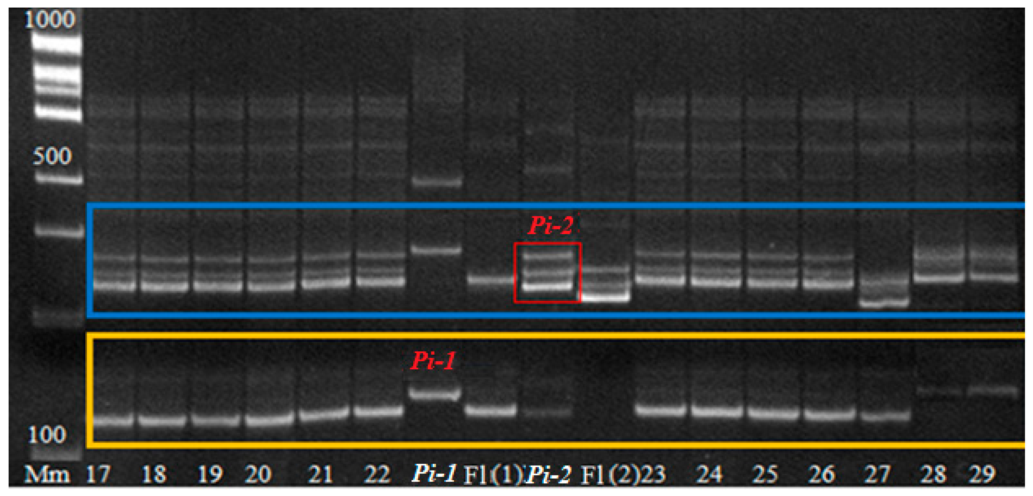 Plants 14 01815 g008