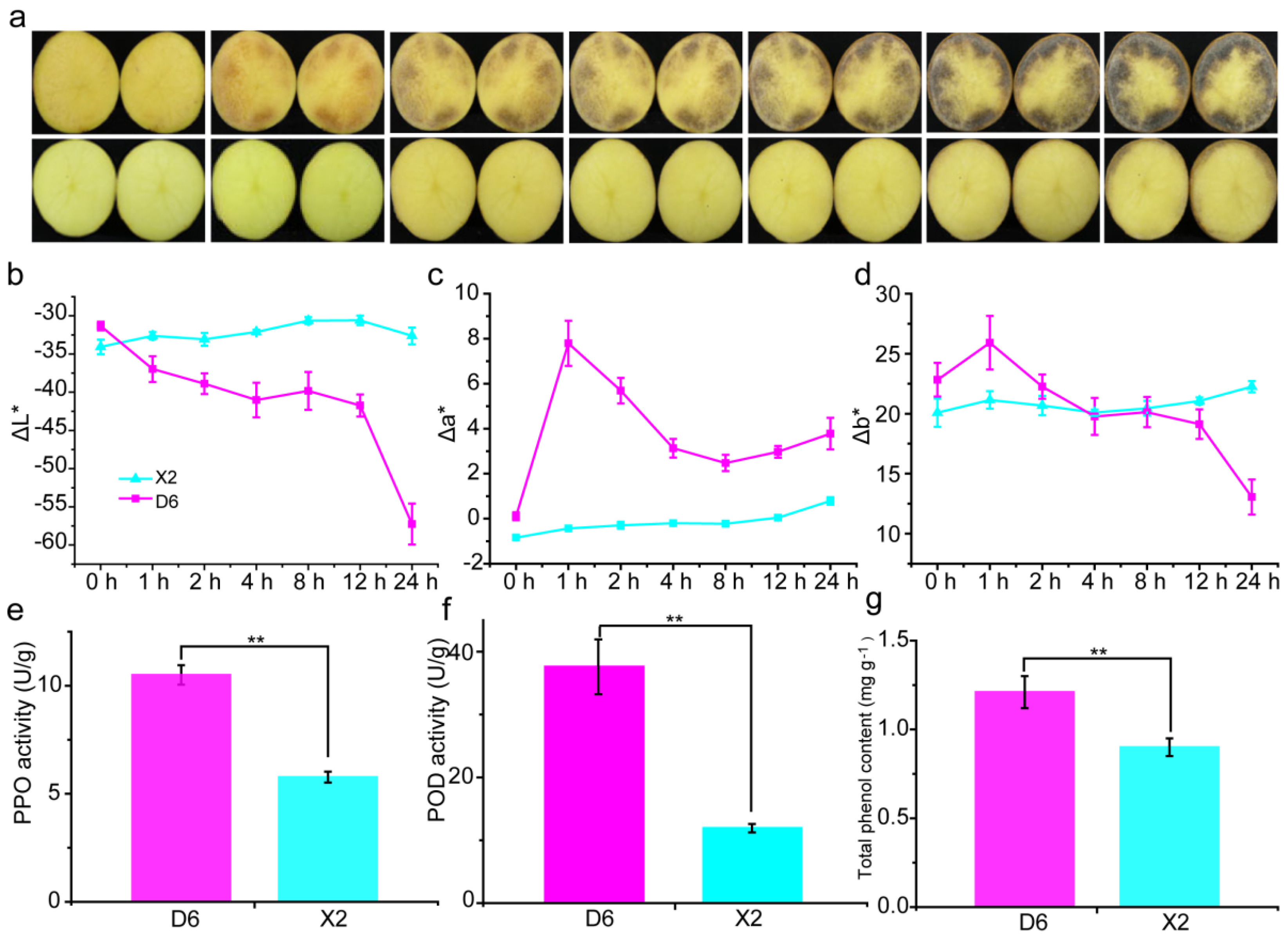 Plants 14 01817 g001