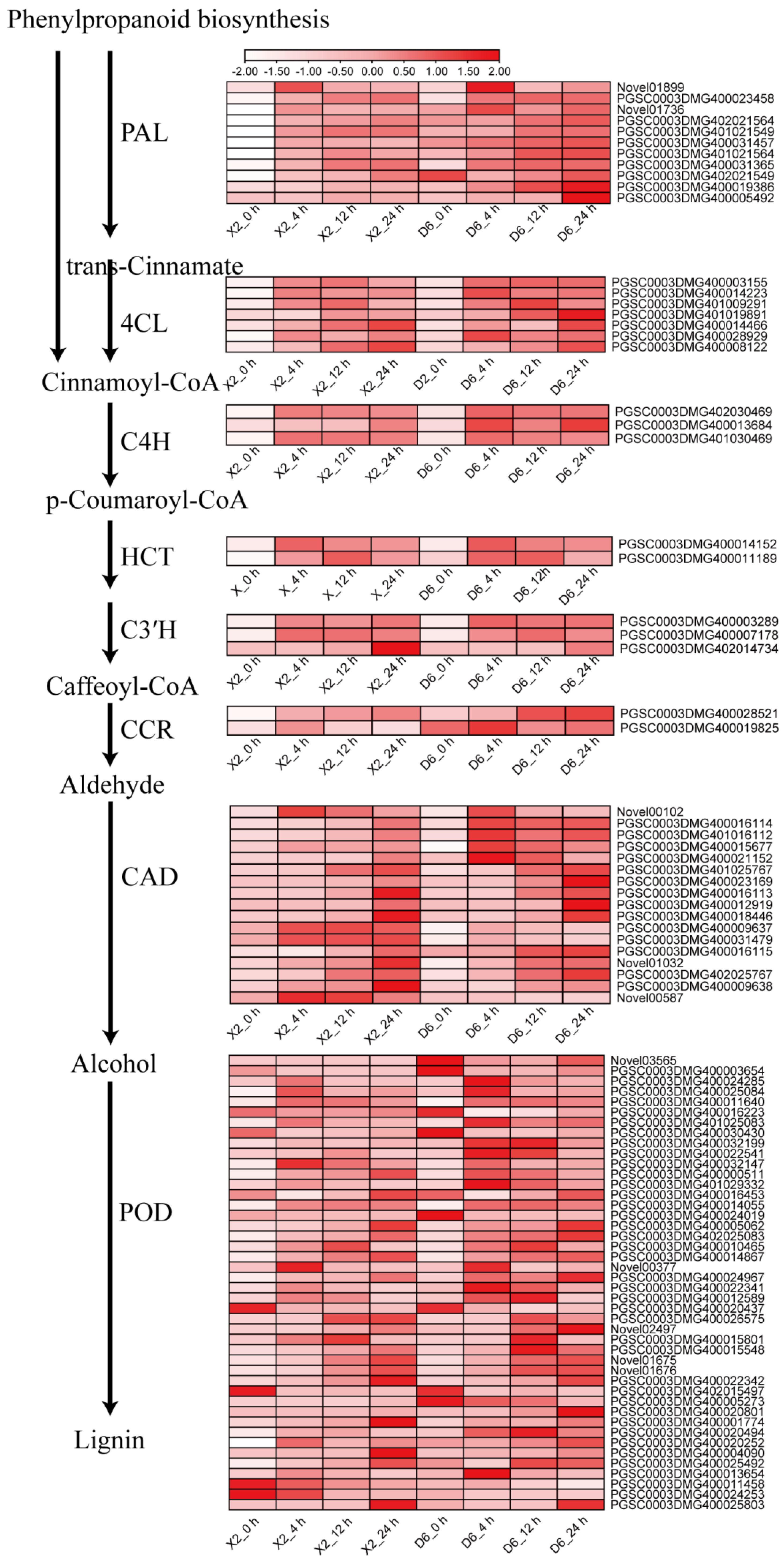 Plants 14 01817 g006