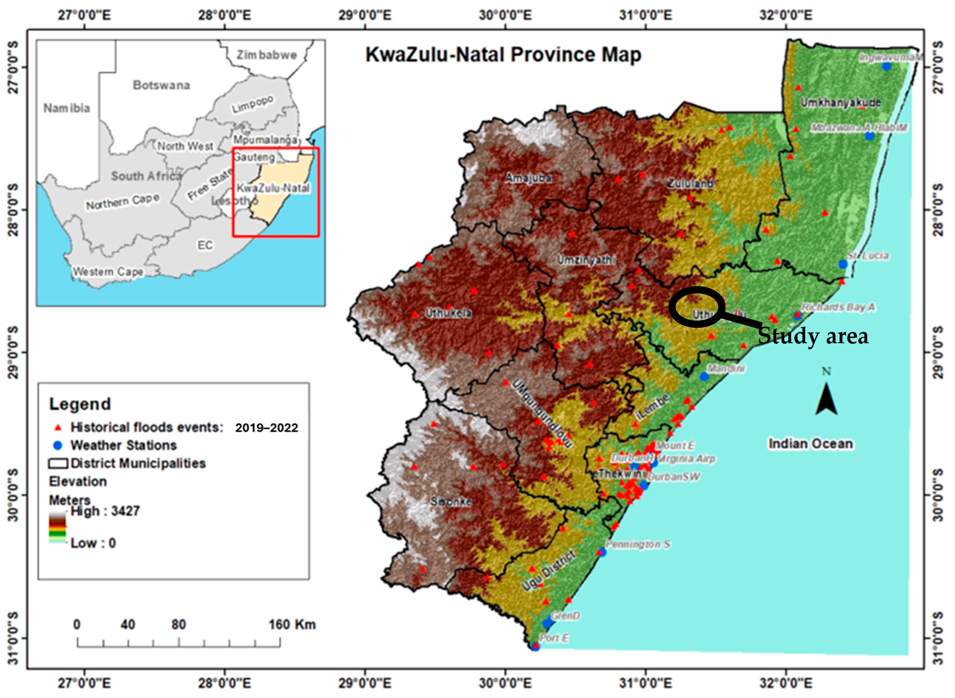 Plants 14 01820 g004