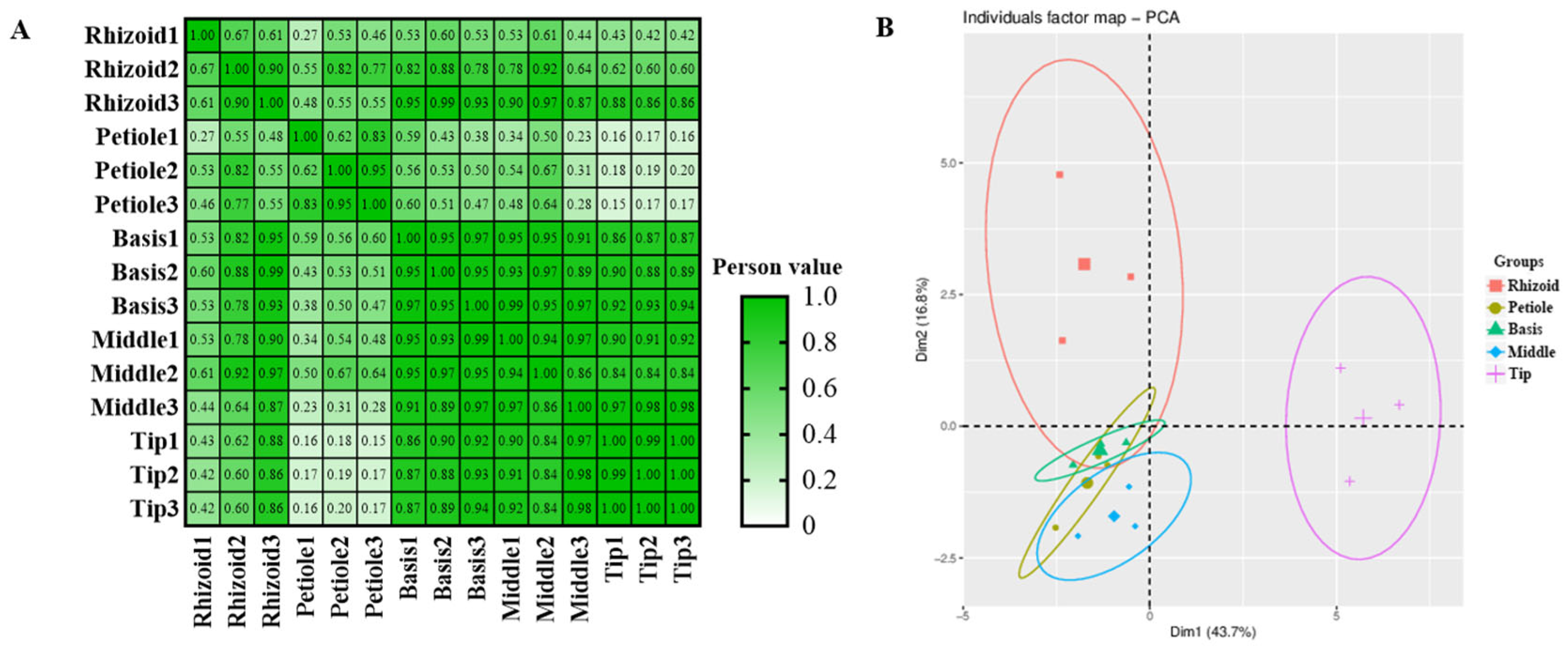 Plants 14 01821 g002 Plants 14 01821 g002