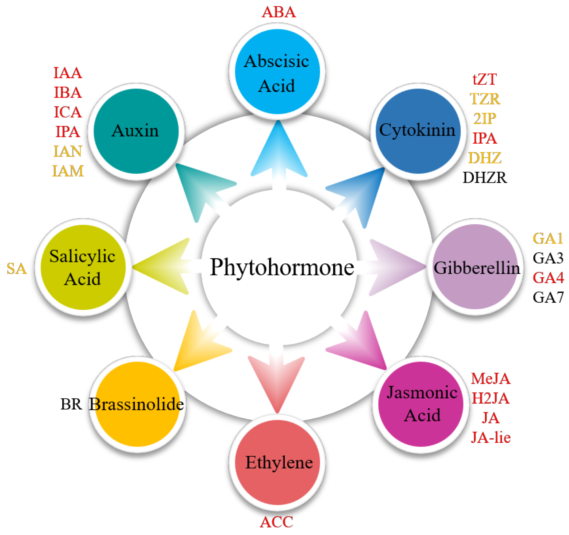 Plants 14 01821 g003 Plants 14 01821 g003
